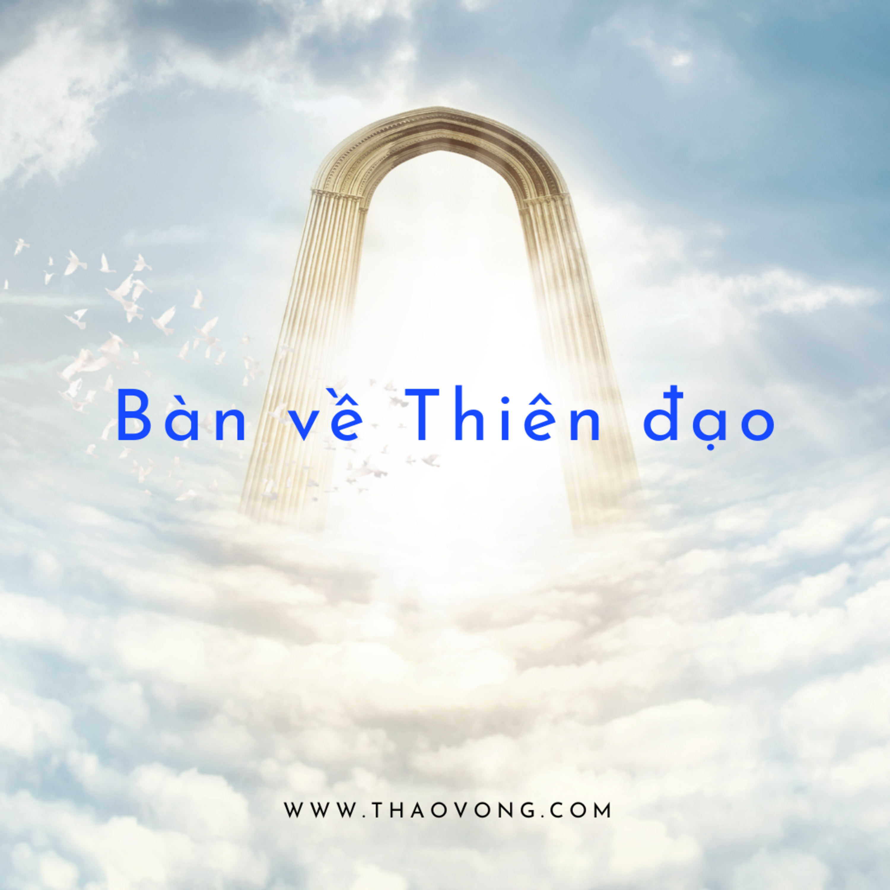 thaovong.com