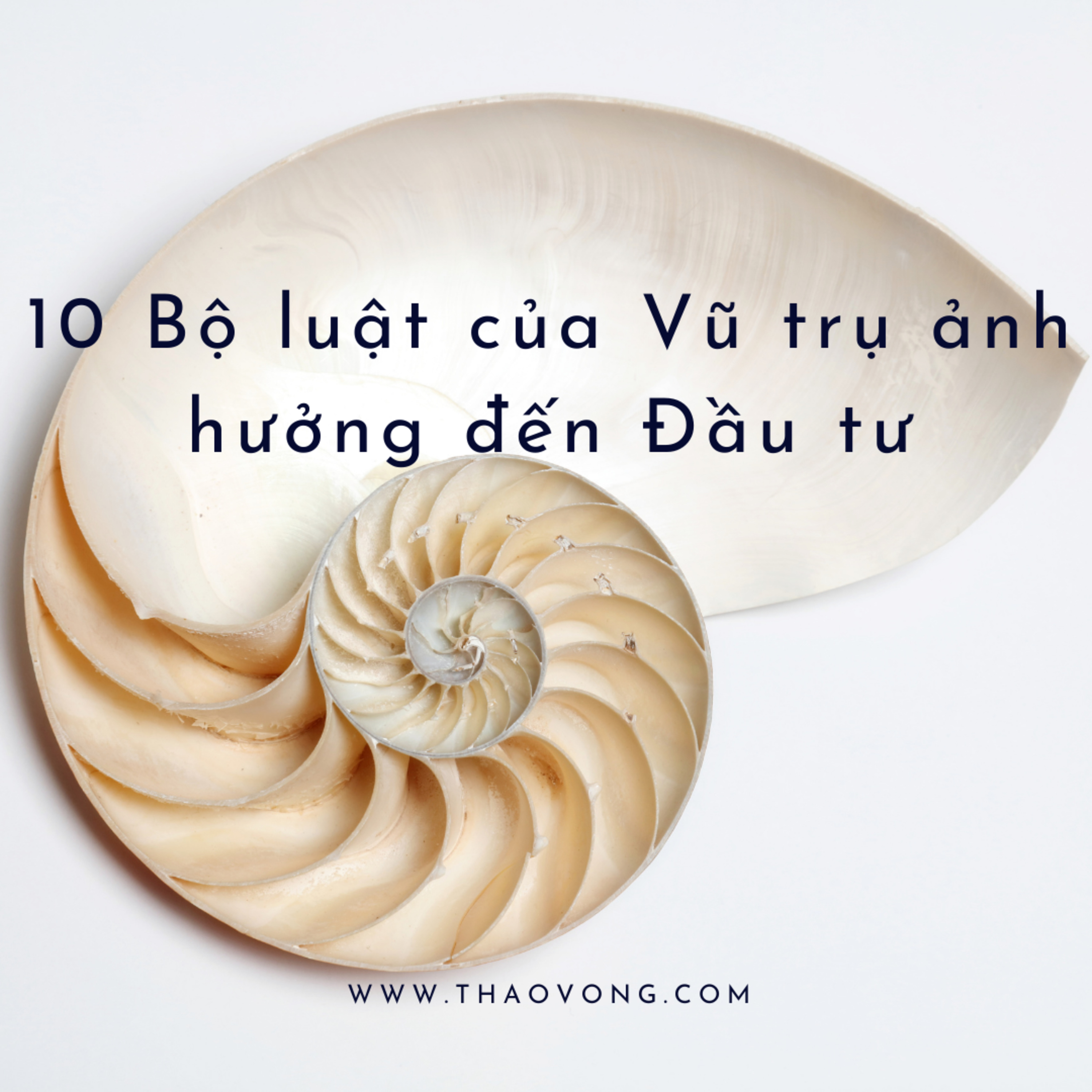 thaovong.com