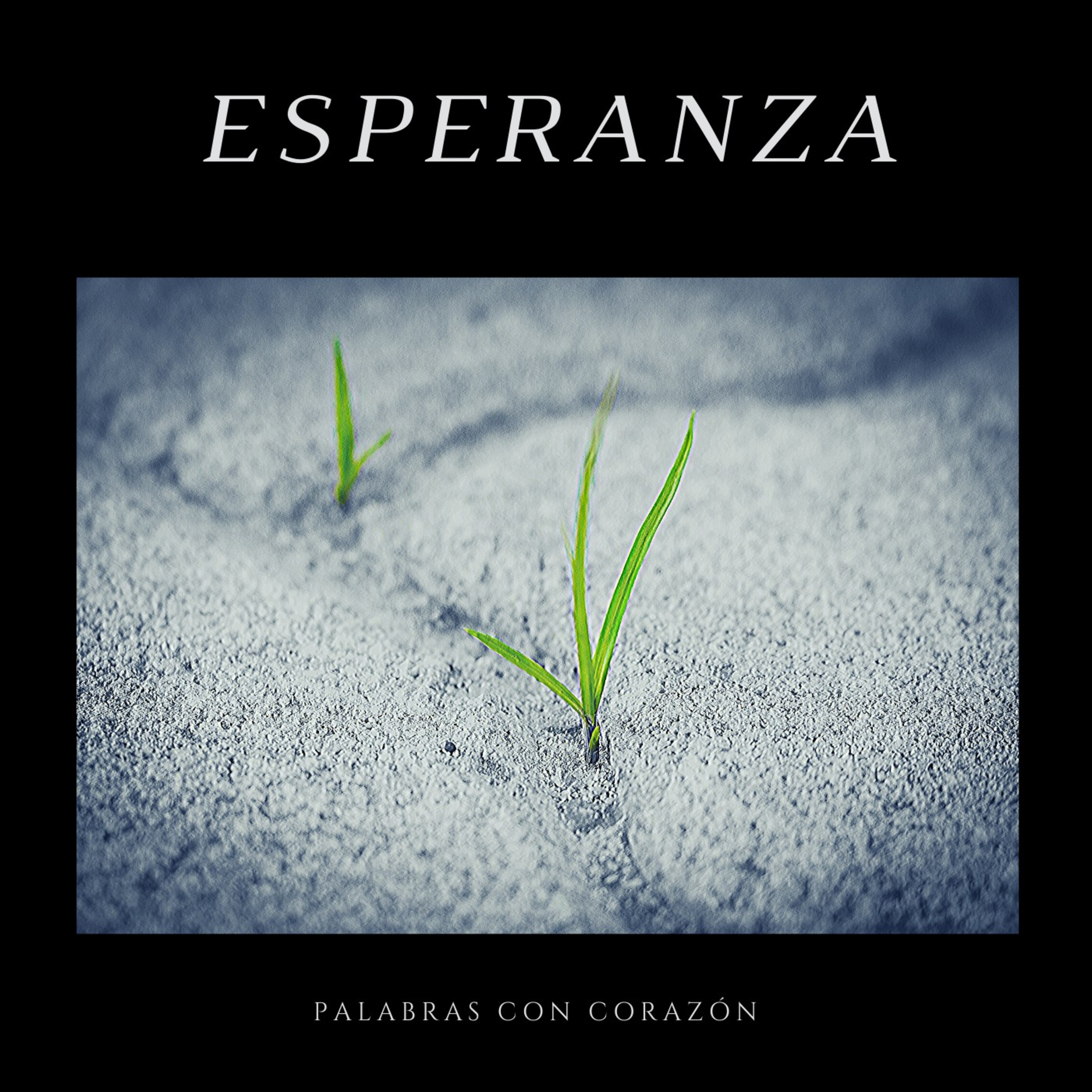 Palabras con corazón