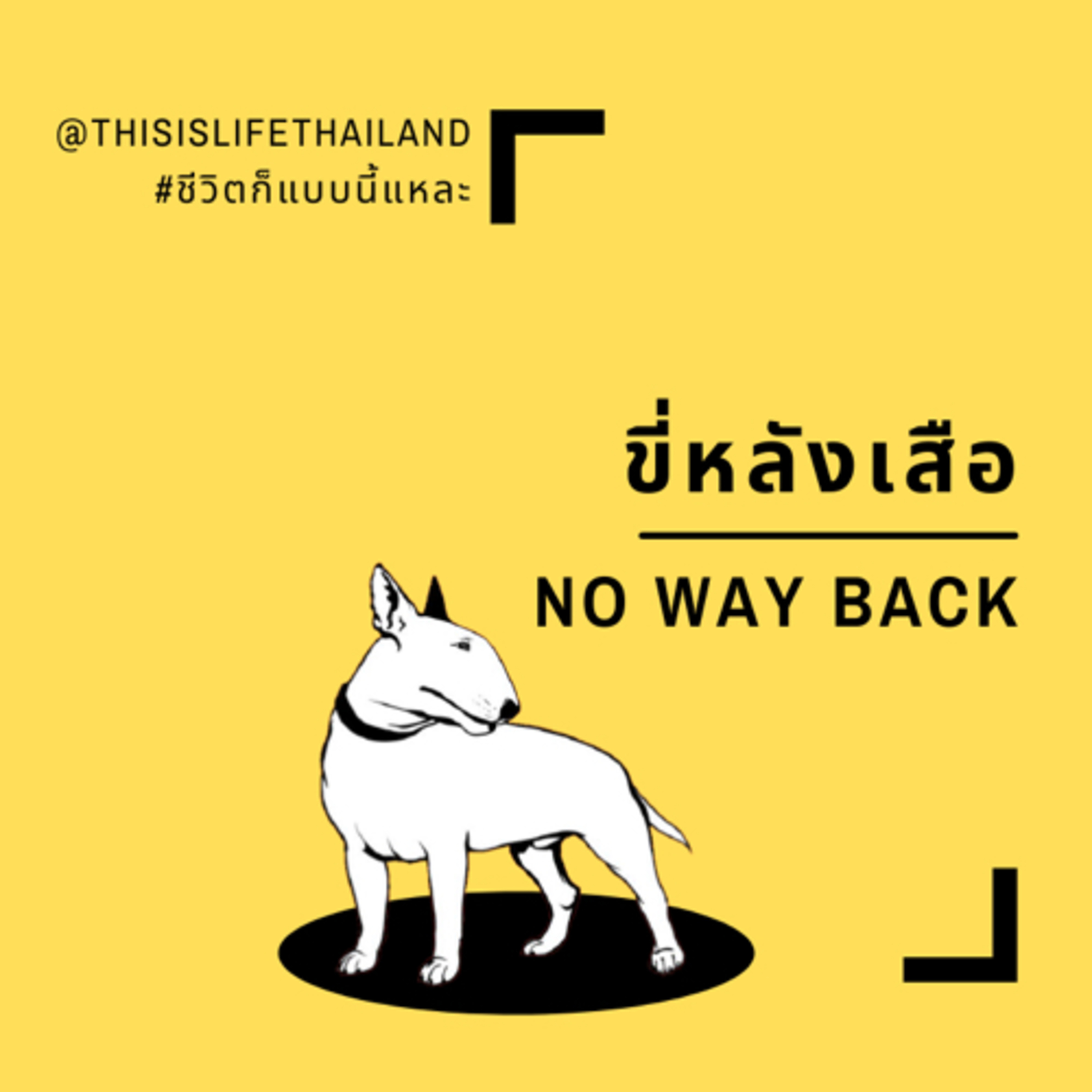 ขี่หลังเสือ - This is LIFE EP.5 episode artwork