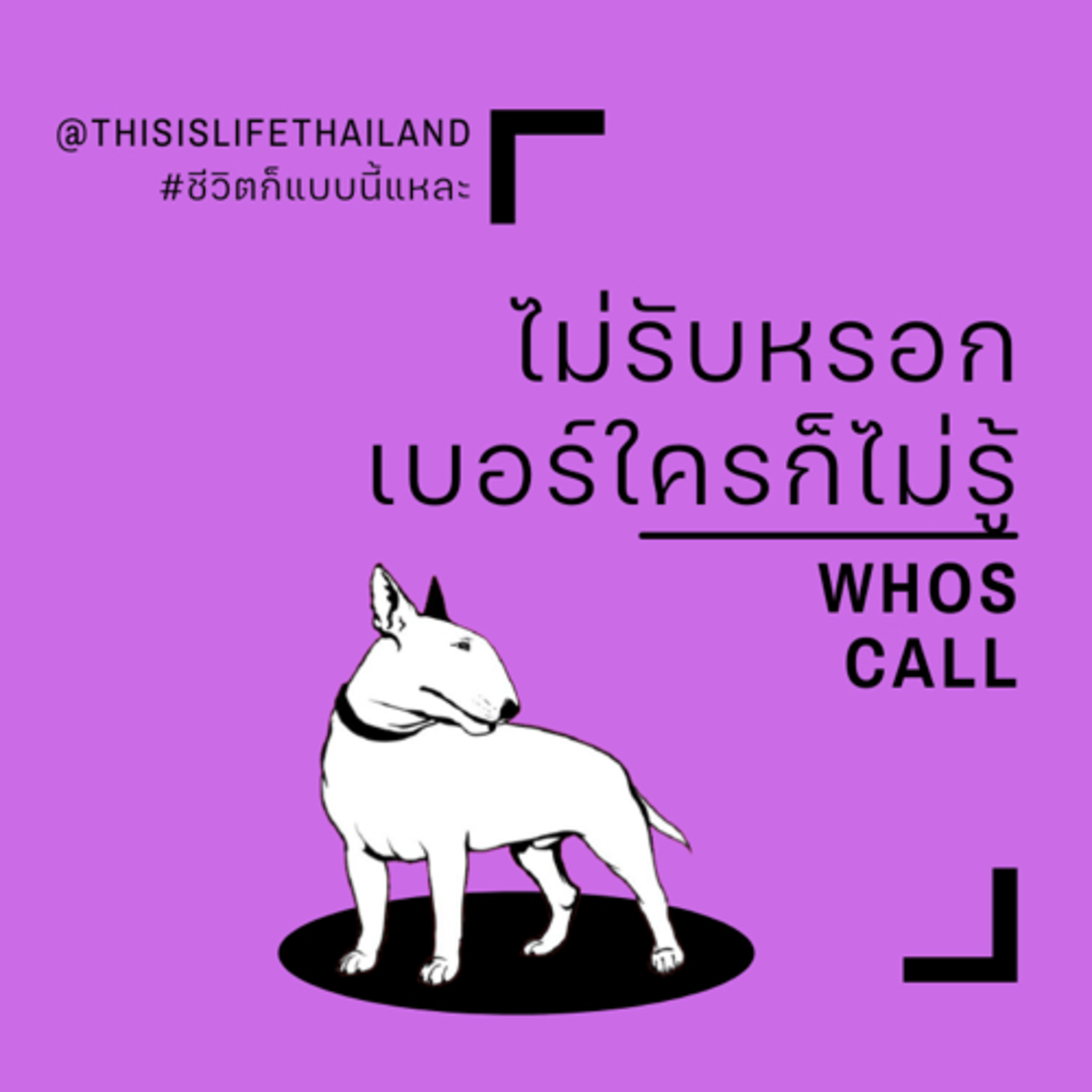 ไม่รับหรอก เบอร์ใครก็ไม่รู้ - This is LIFE EP.13 episode artwork