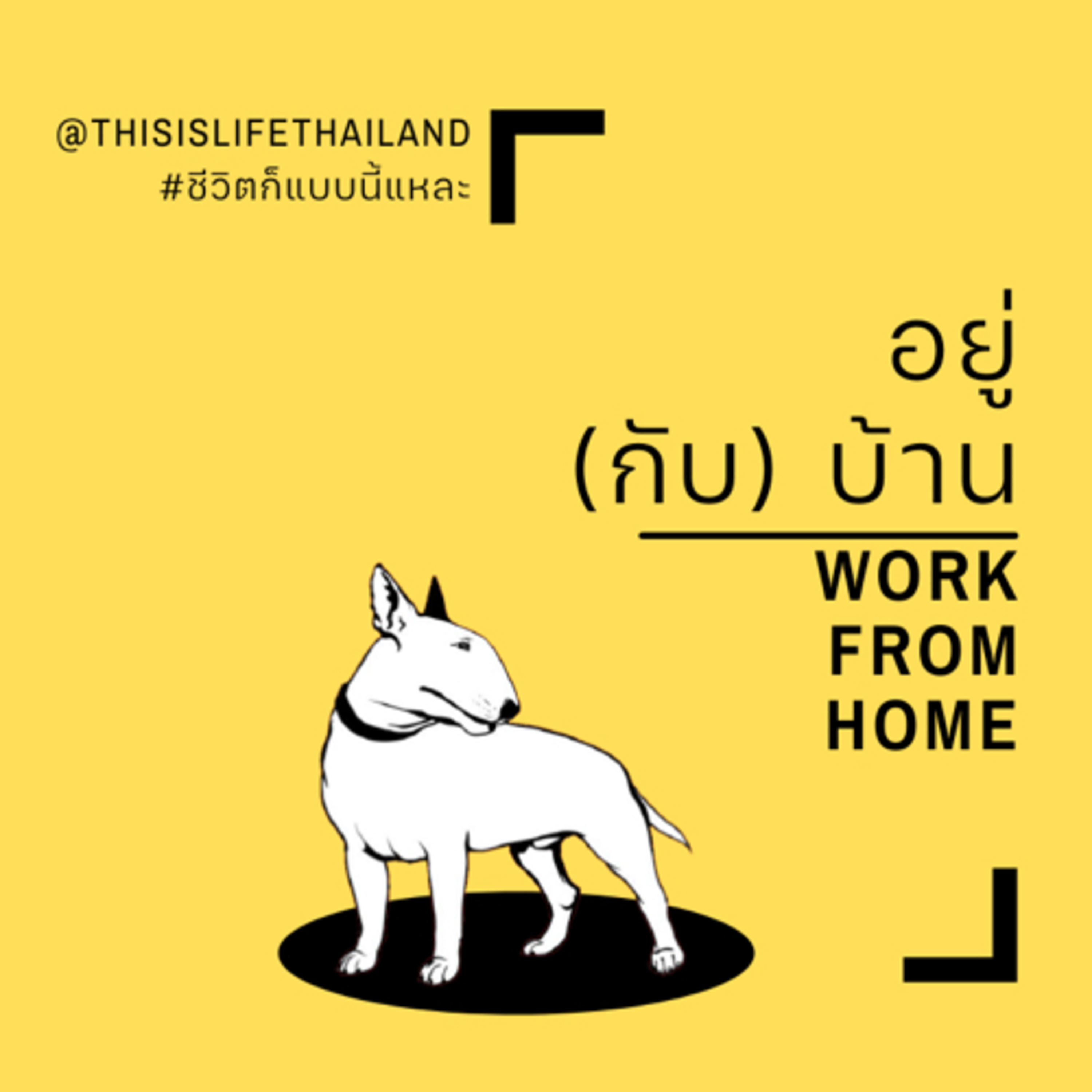 อยู่ (กับ) บ้าน - This is LIFE EP.21 episode artwork
