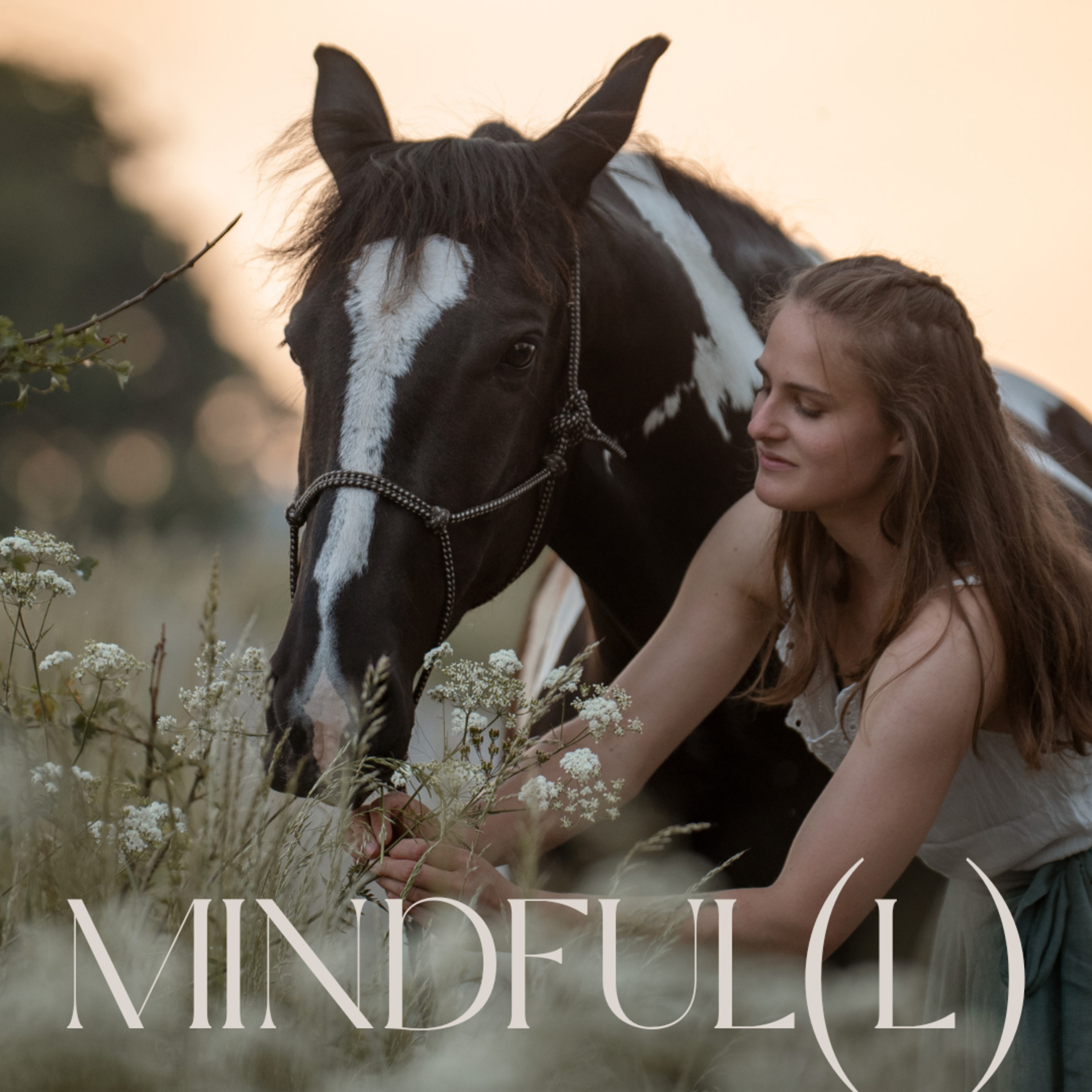 Mindful(l)