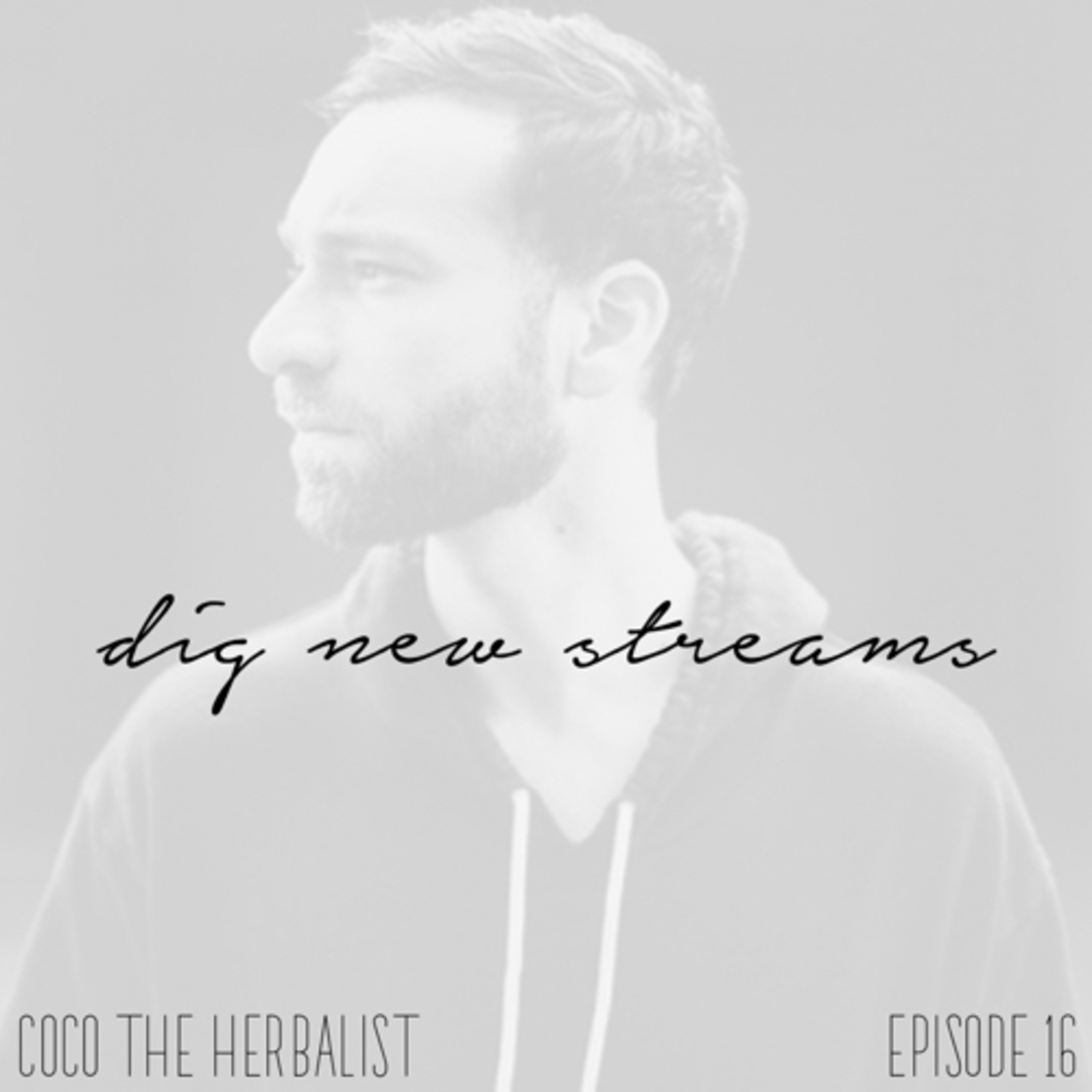 dig new streams