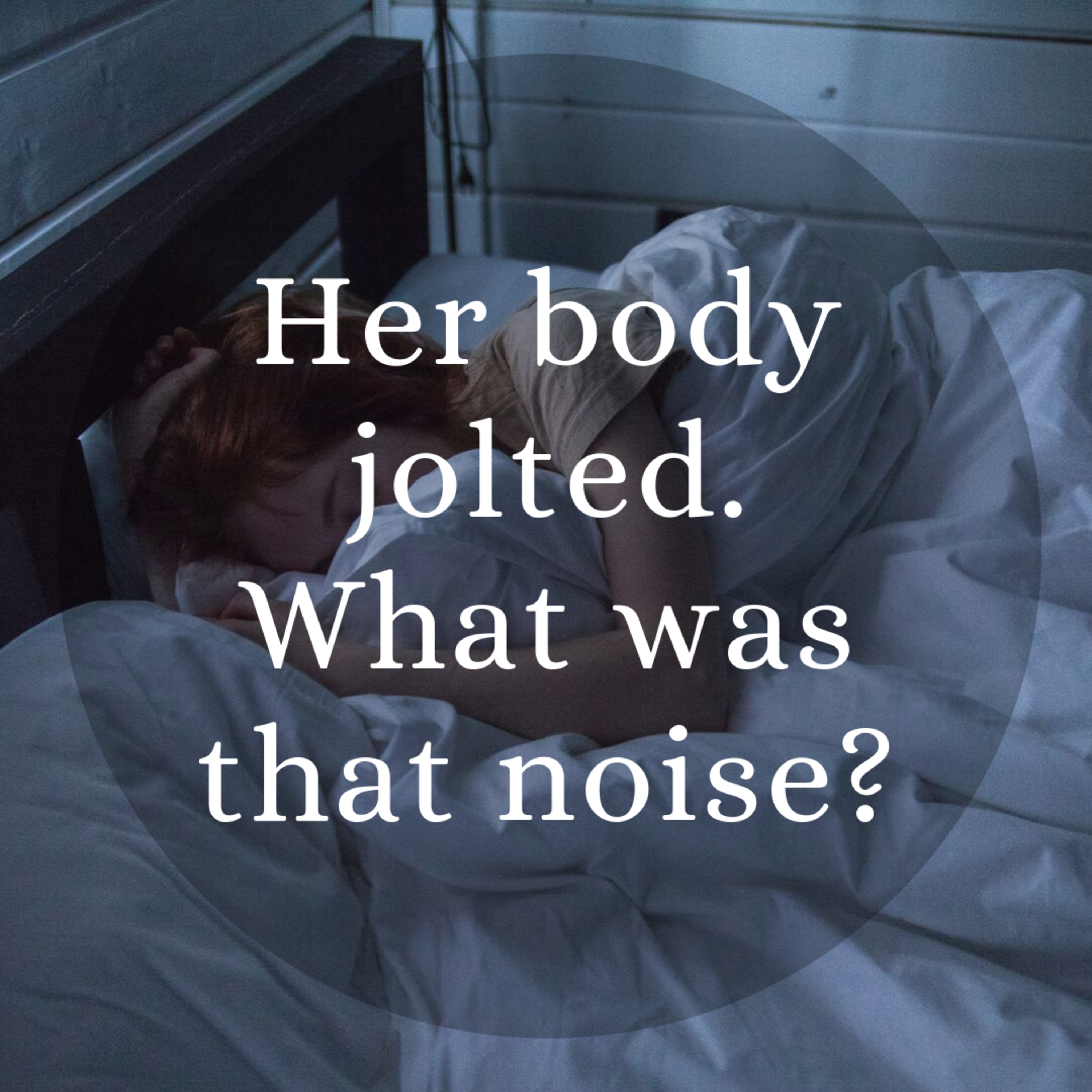 014 Night Noises