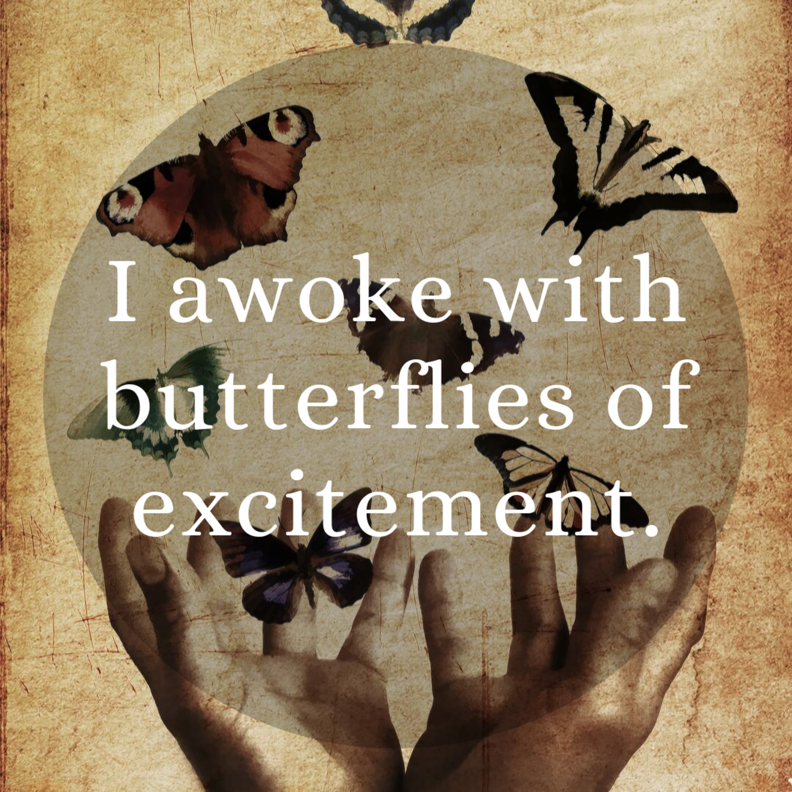 006 Butterflies