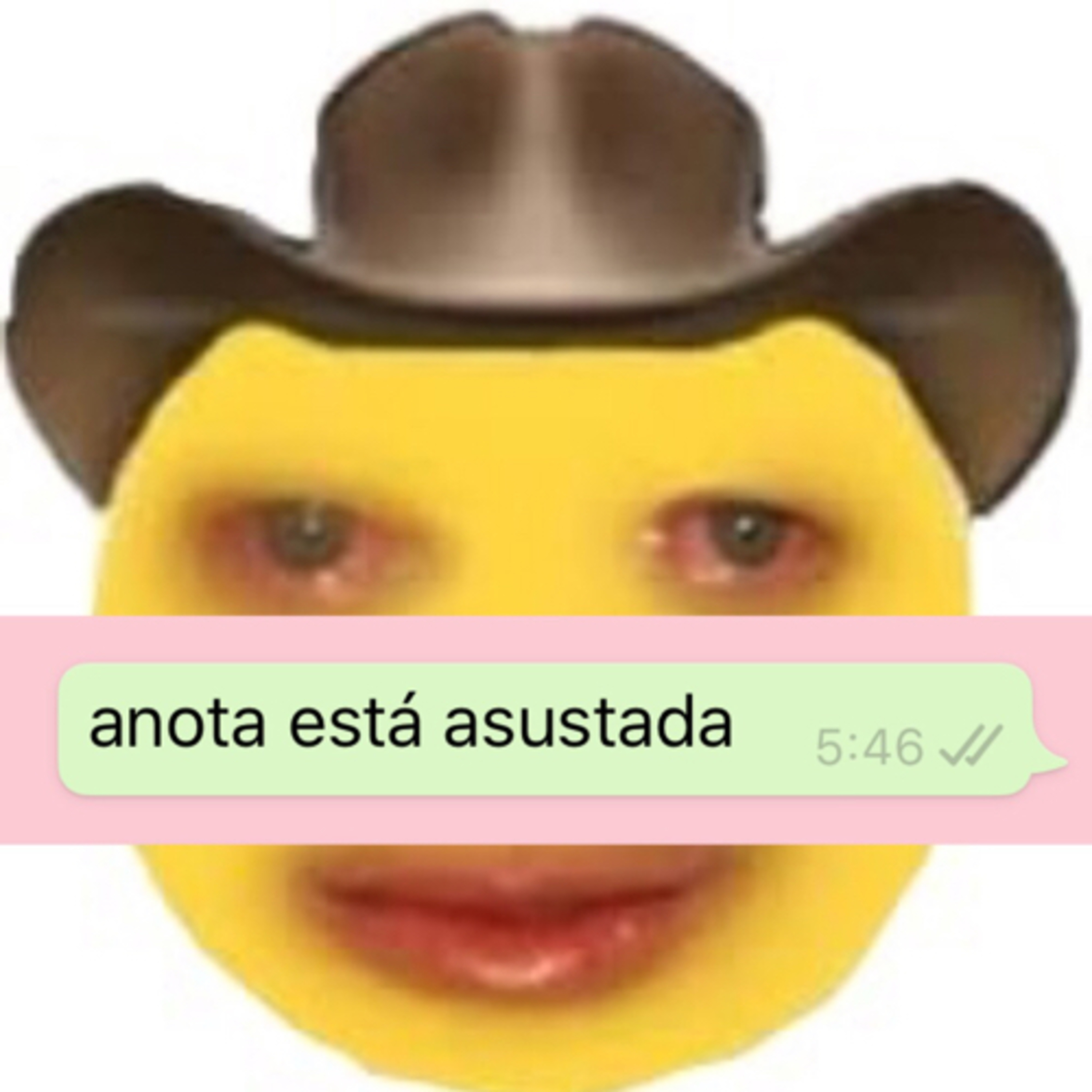 Anita tiene un podcast