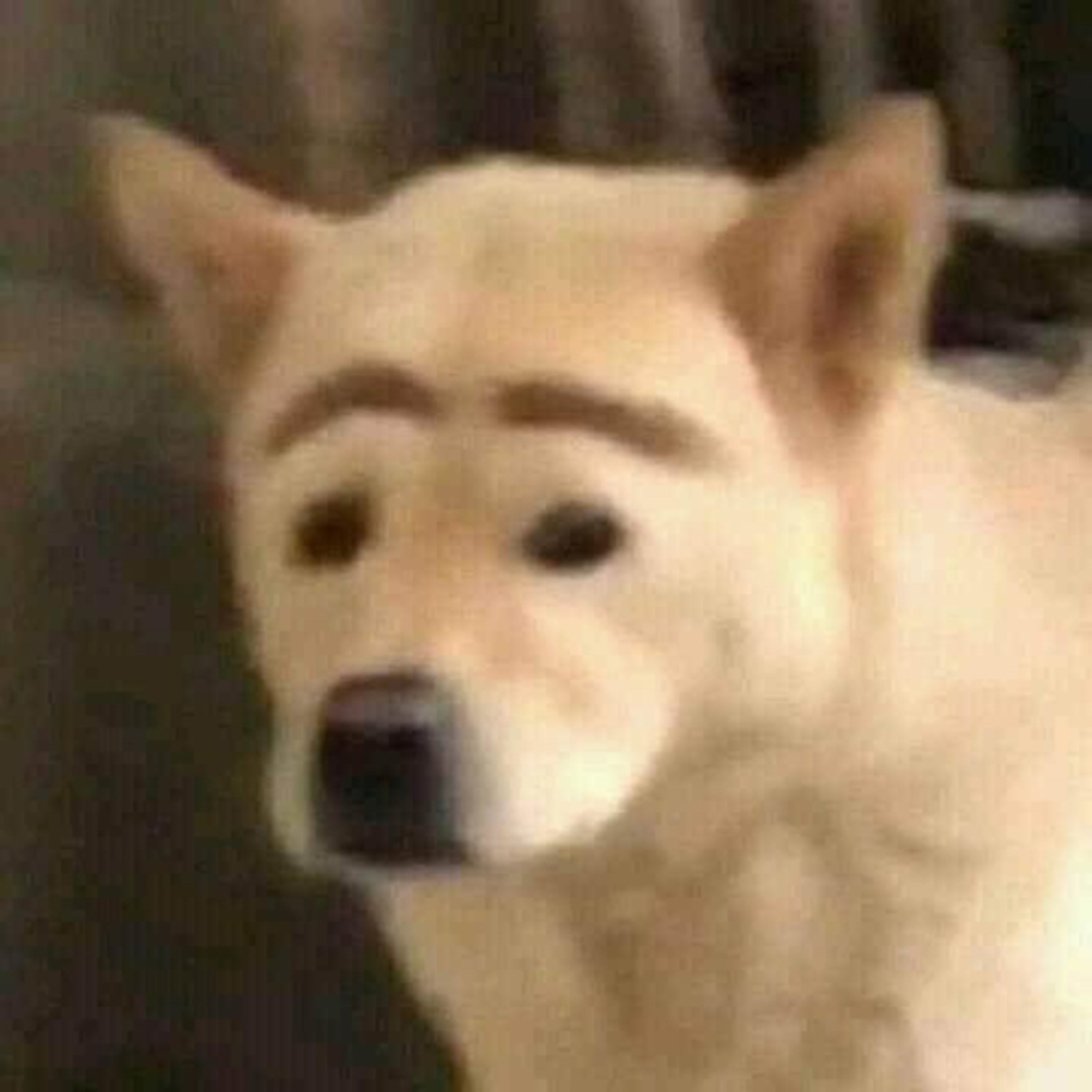 Anita tiene un podcast