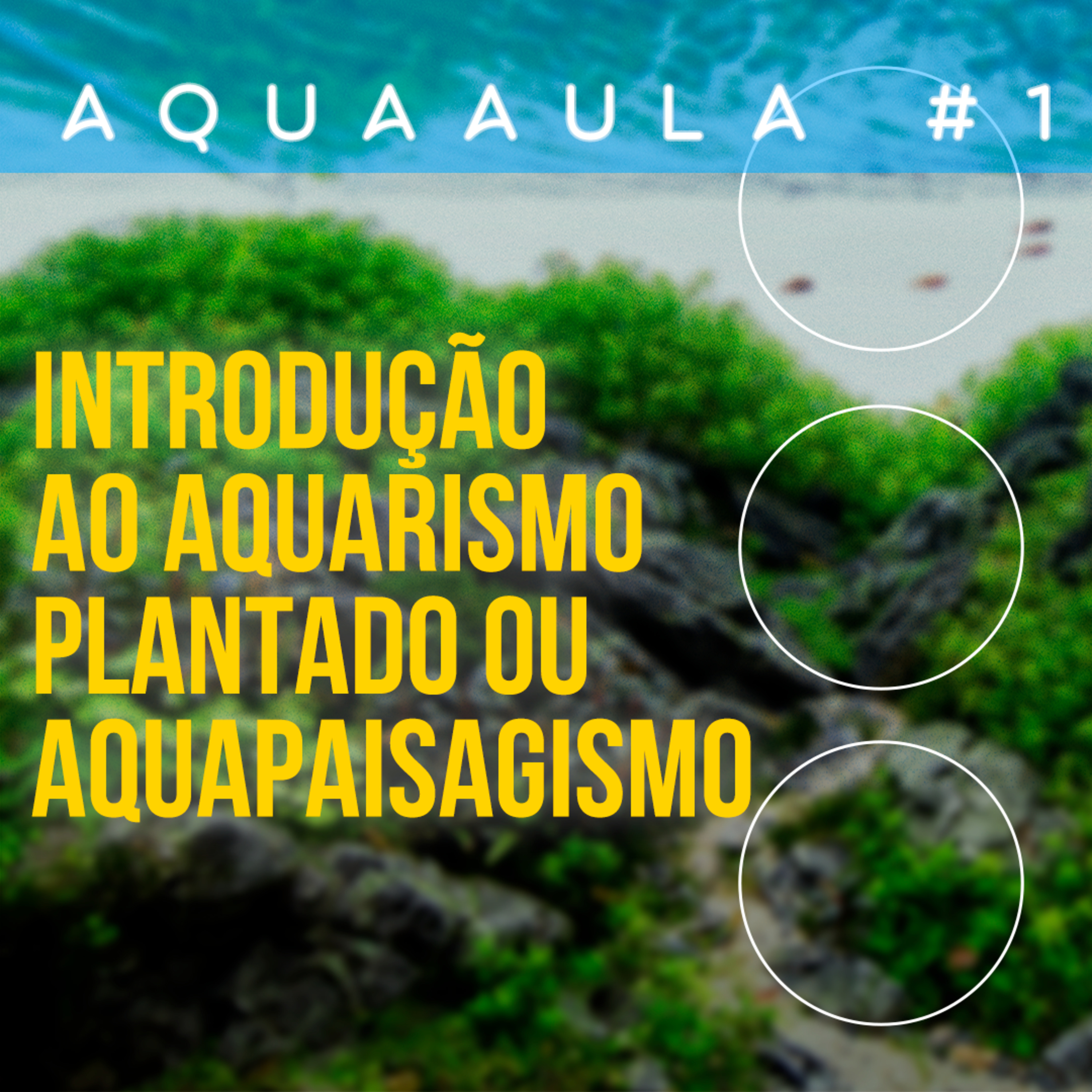 Aquacast o seu podcast de aquarismo
