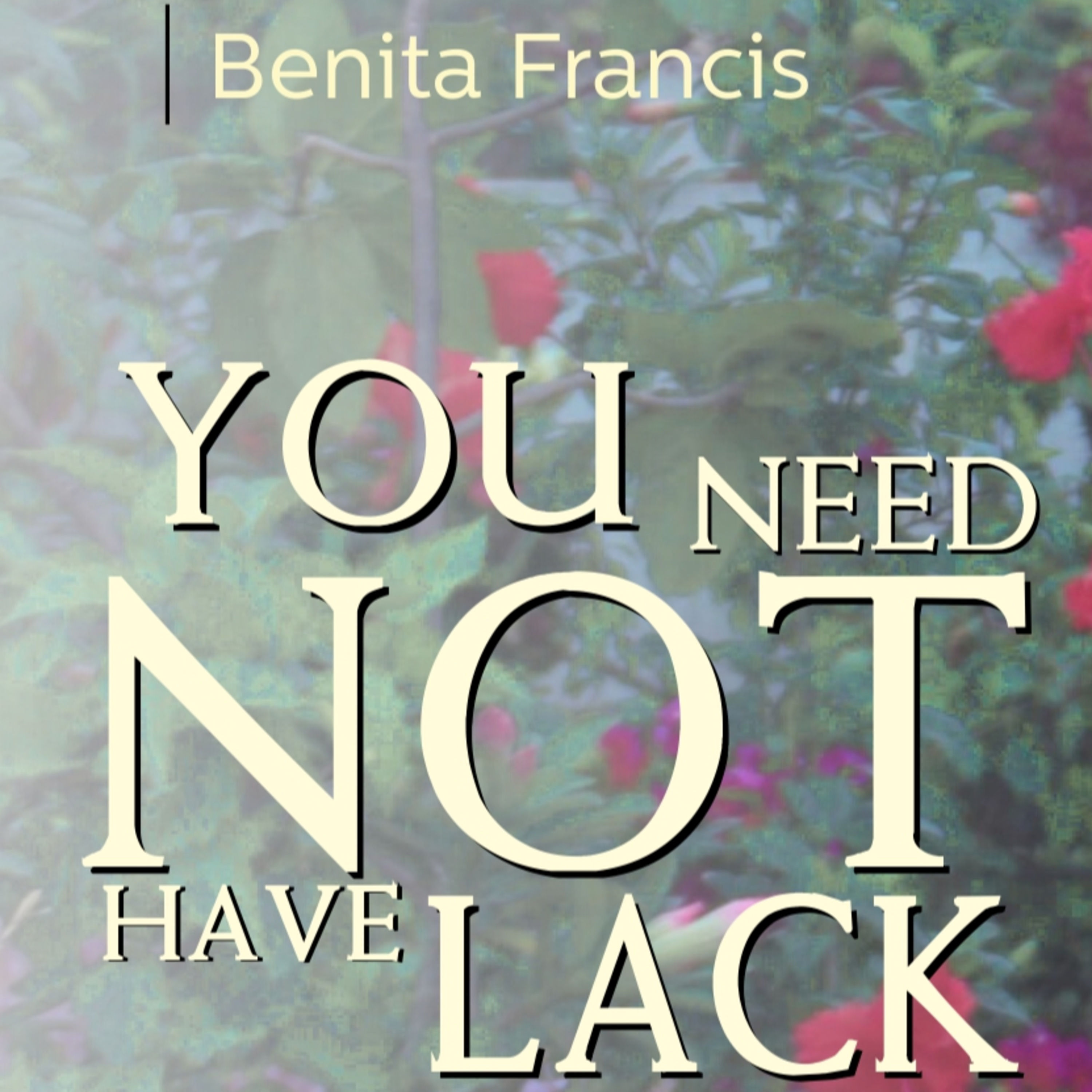 You need not have to lack! Jesus says it | Benita Francis episode artwork