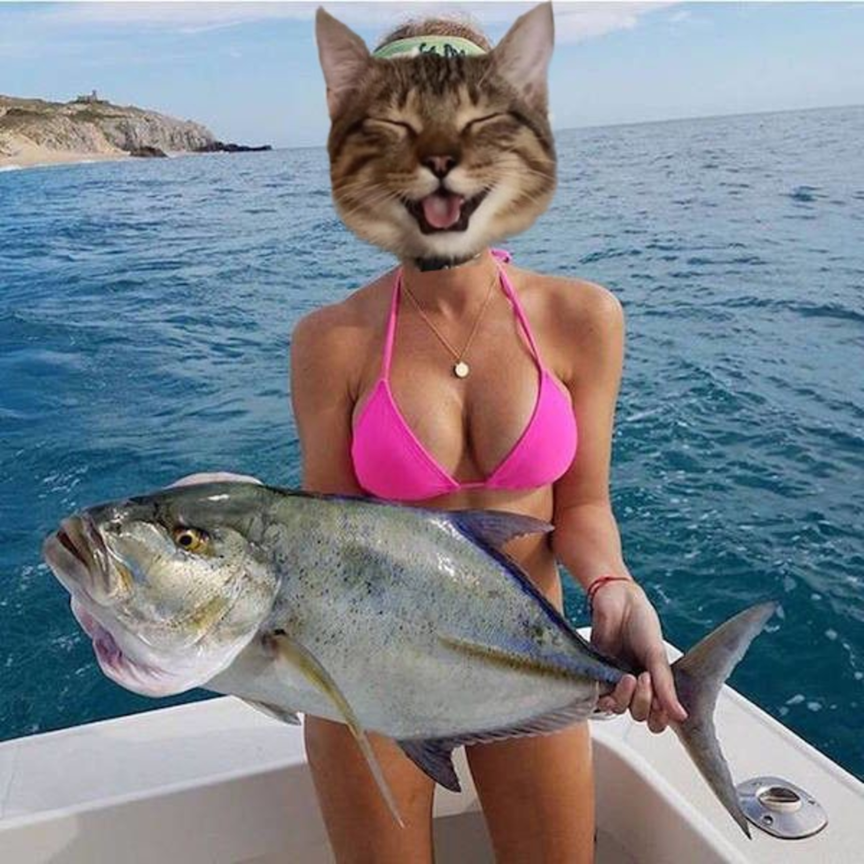 Episode 107: Fish and Tits episode artwork