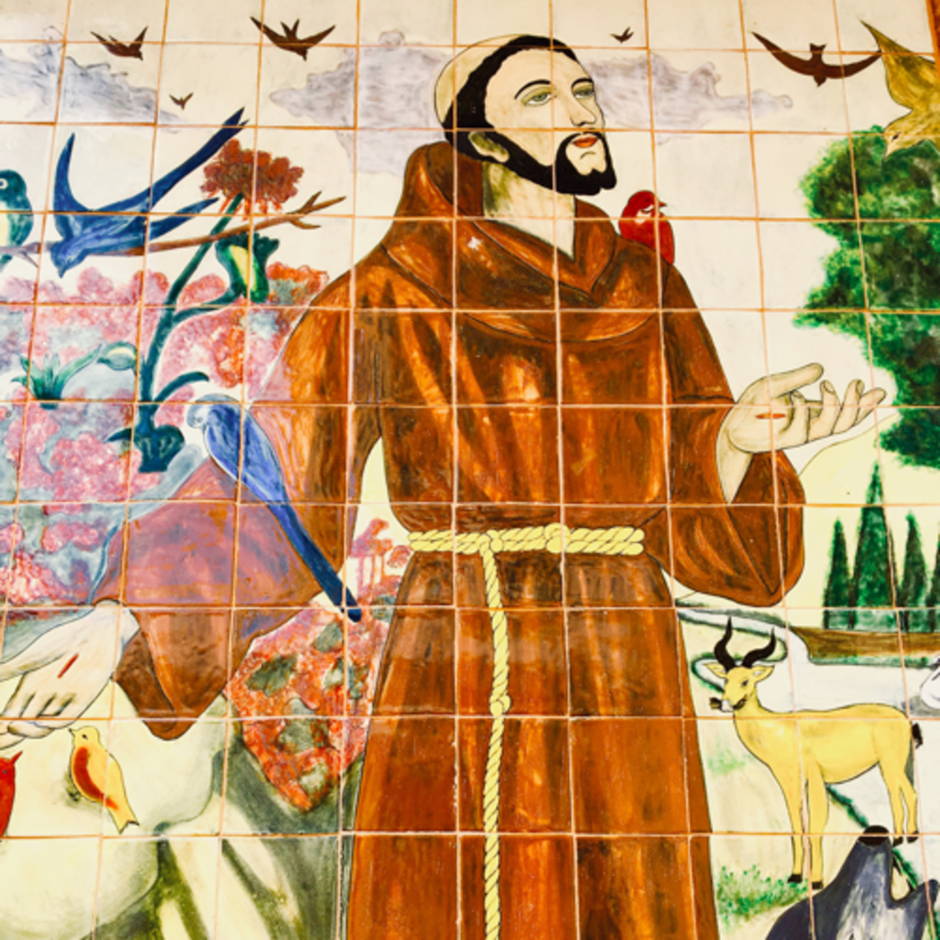 Homily-Through the Eyes of the Oppressed... episode artwork