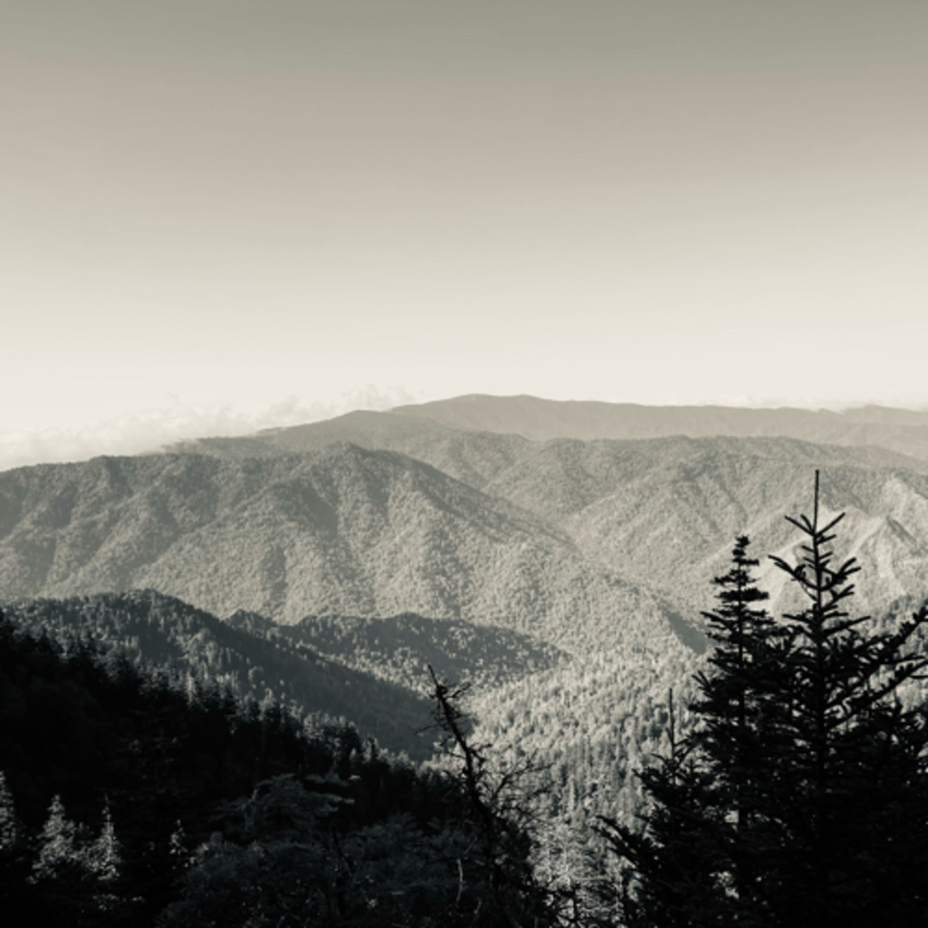 Go and Find Your Mountain episode artwork