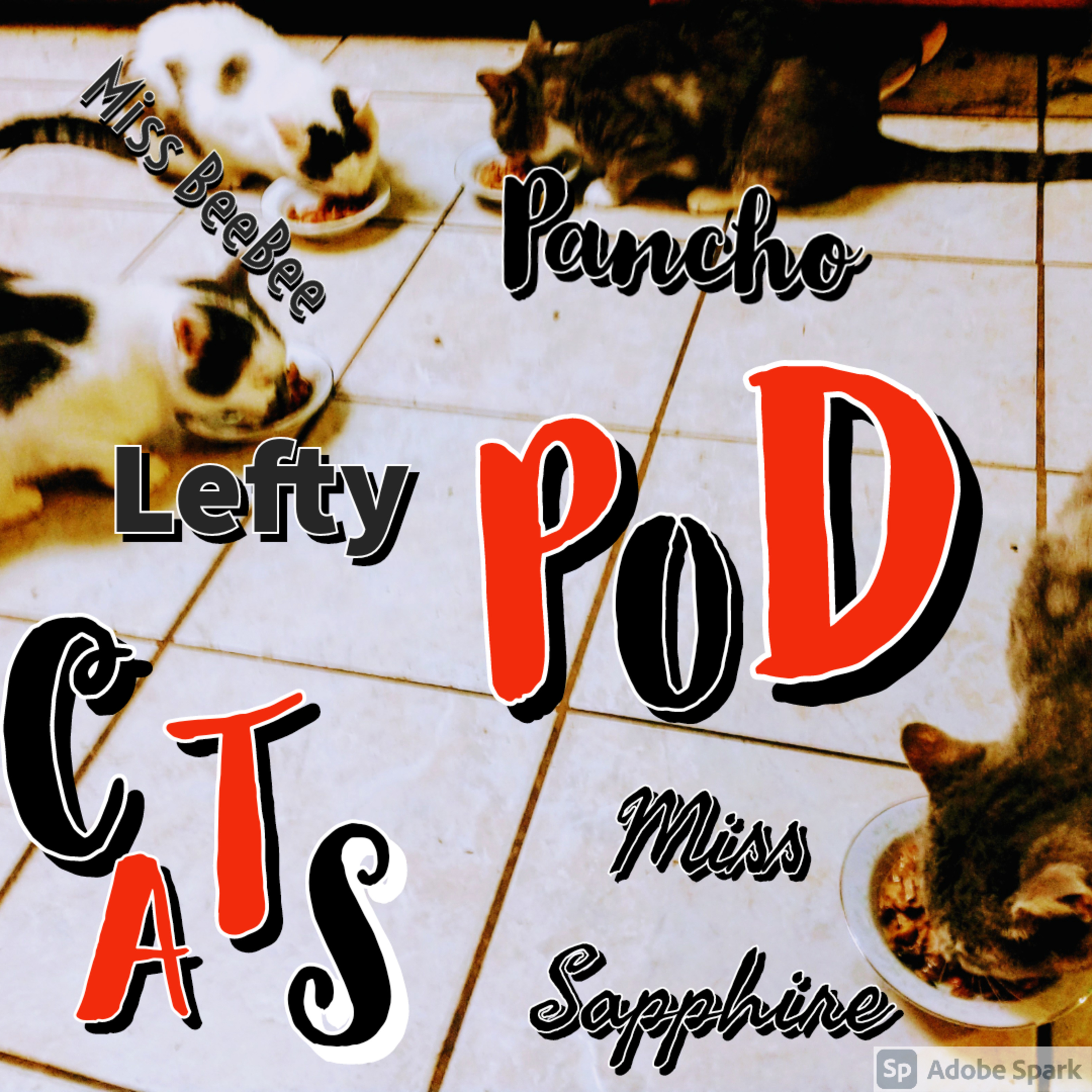 Endless Adventures 🎤 CHANNEL