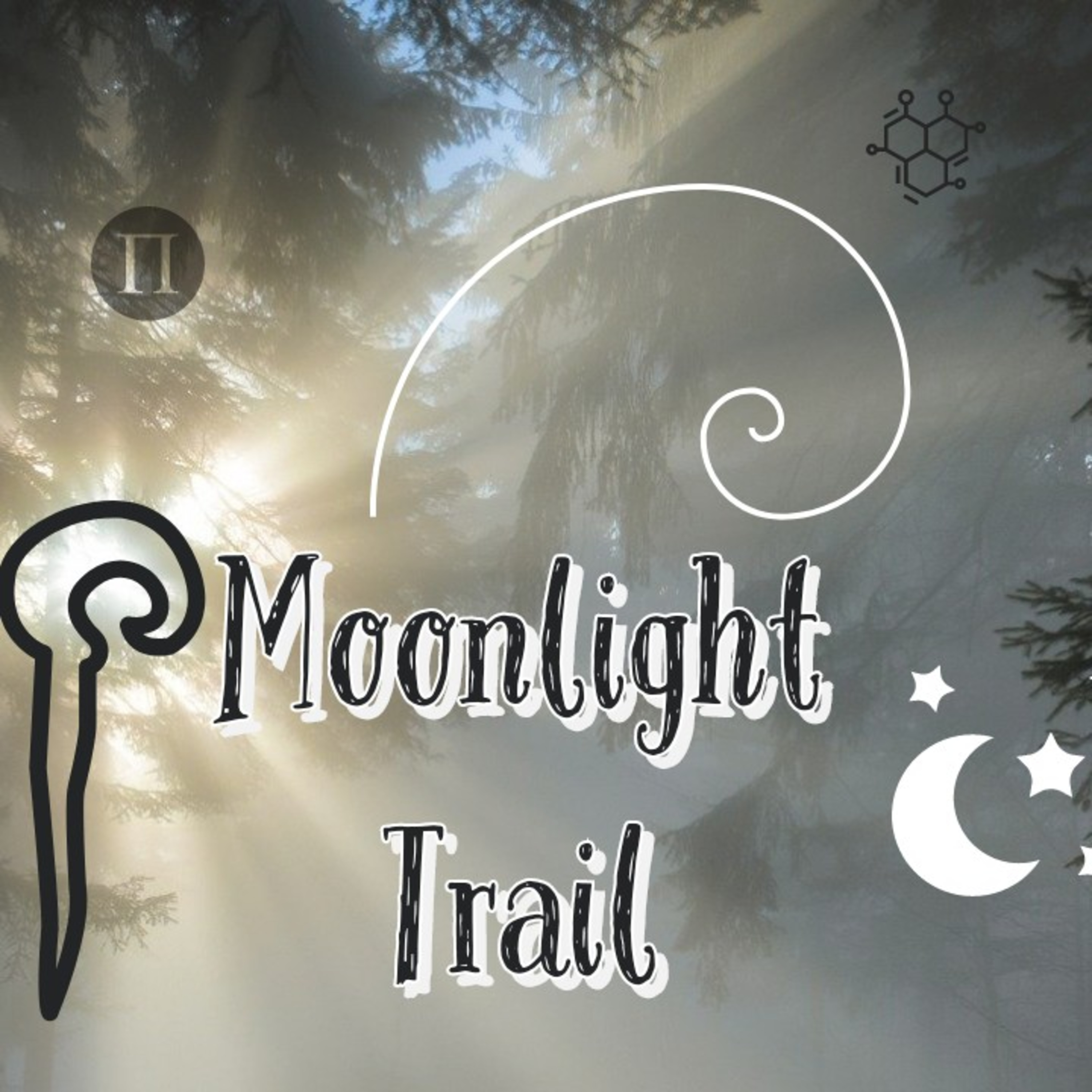 Moonlight Trail episode artwork
