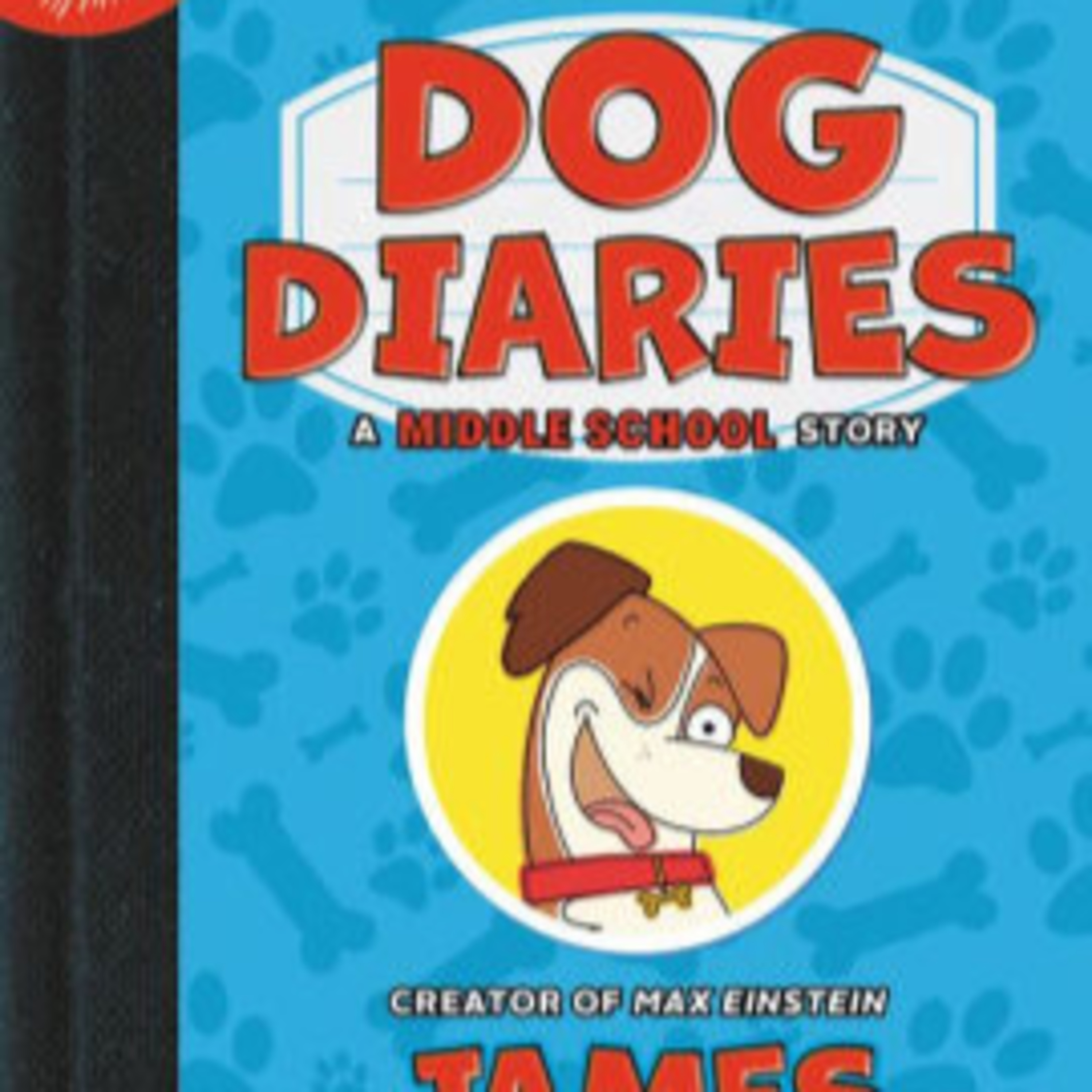 Ambrose Library Book Reviews