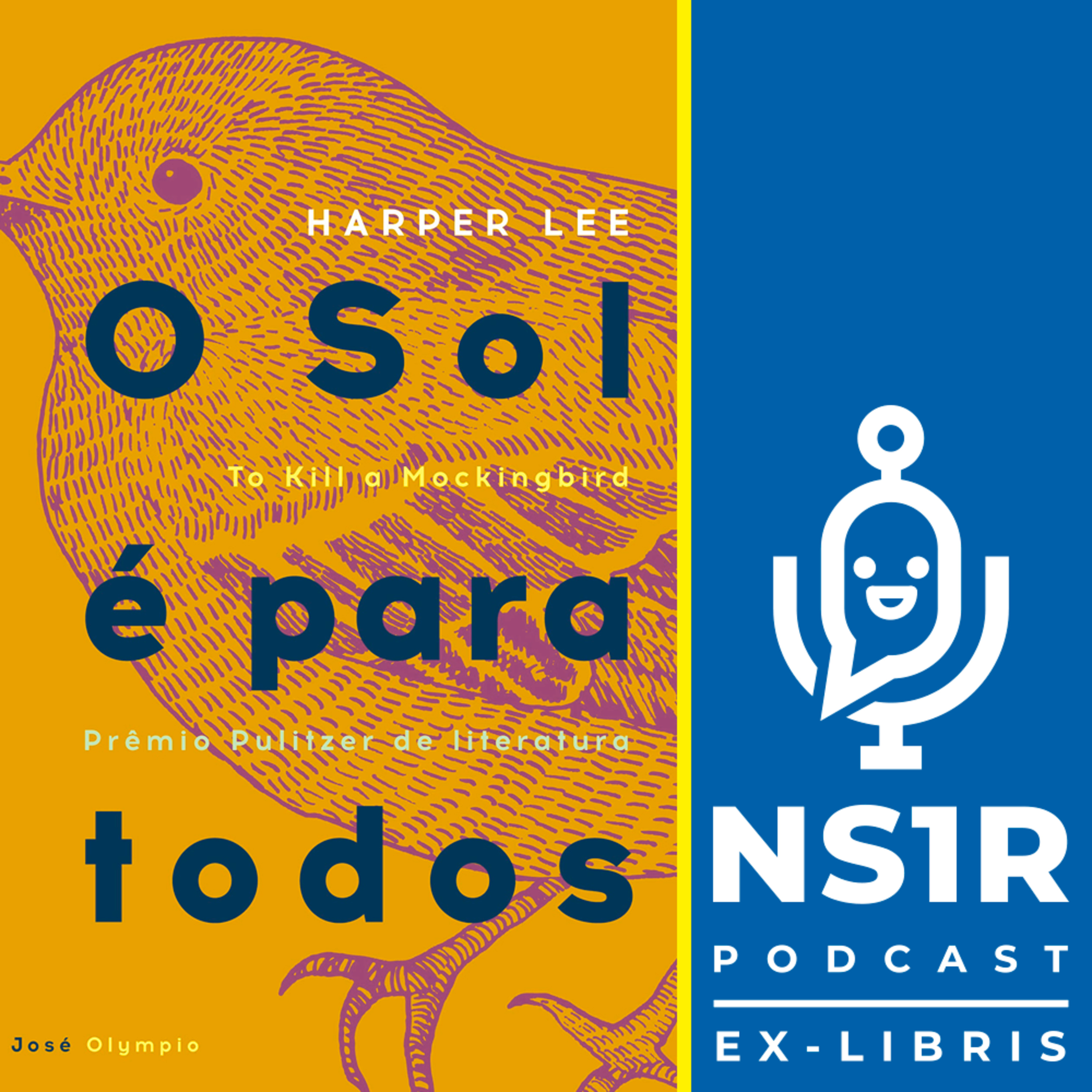 Não sou um robô