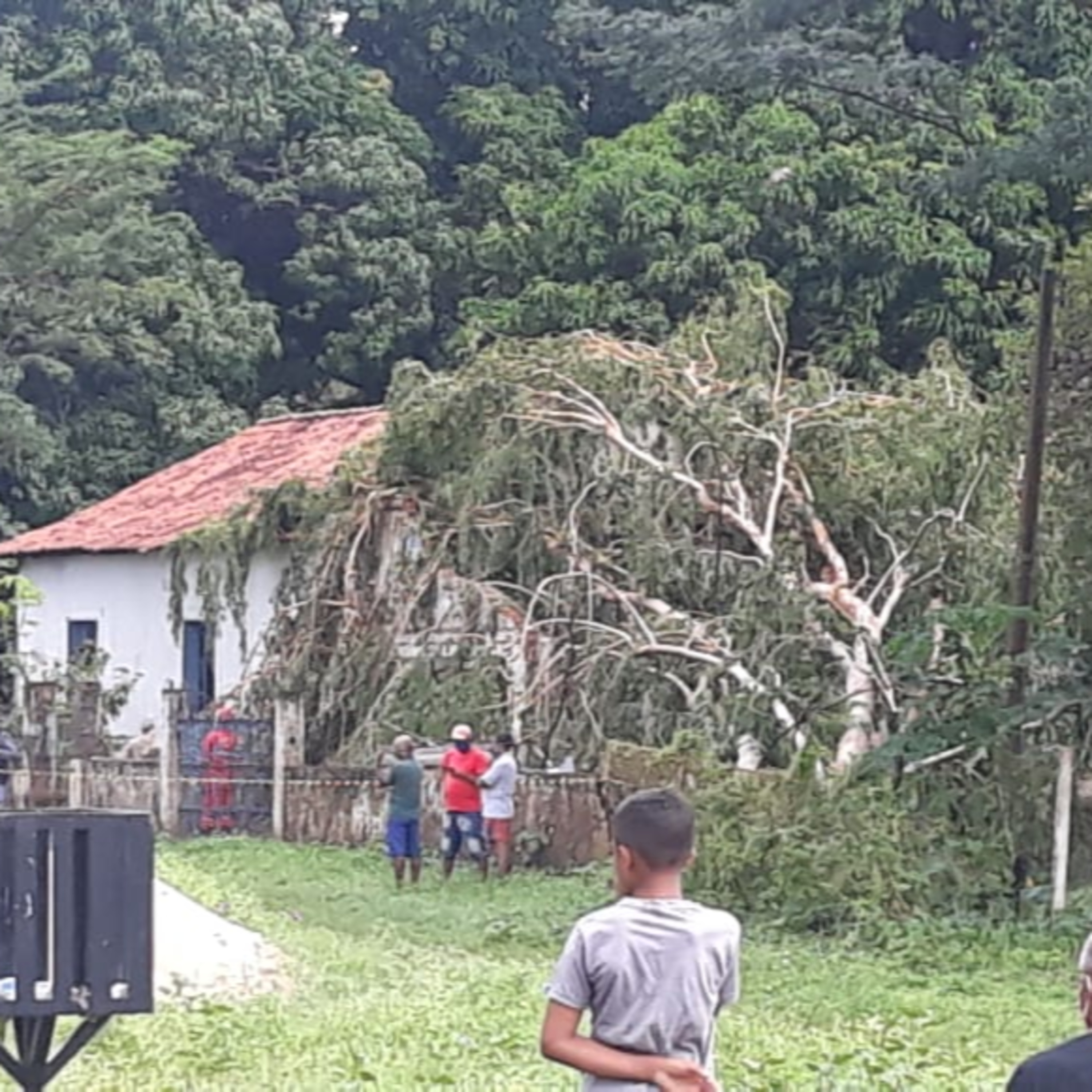 NOTICIÁRIO POLICIAL - MÃE E FILHOS MORREM ENQUANTO DORMIAM APÓS ÁRVORE CAIR EM CIMA DA RESIDÊNCIA. episode artwork