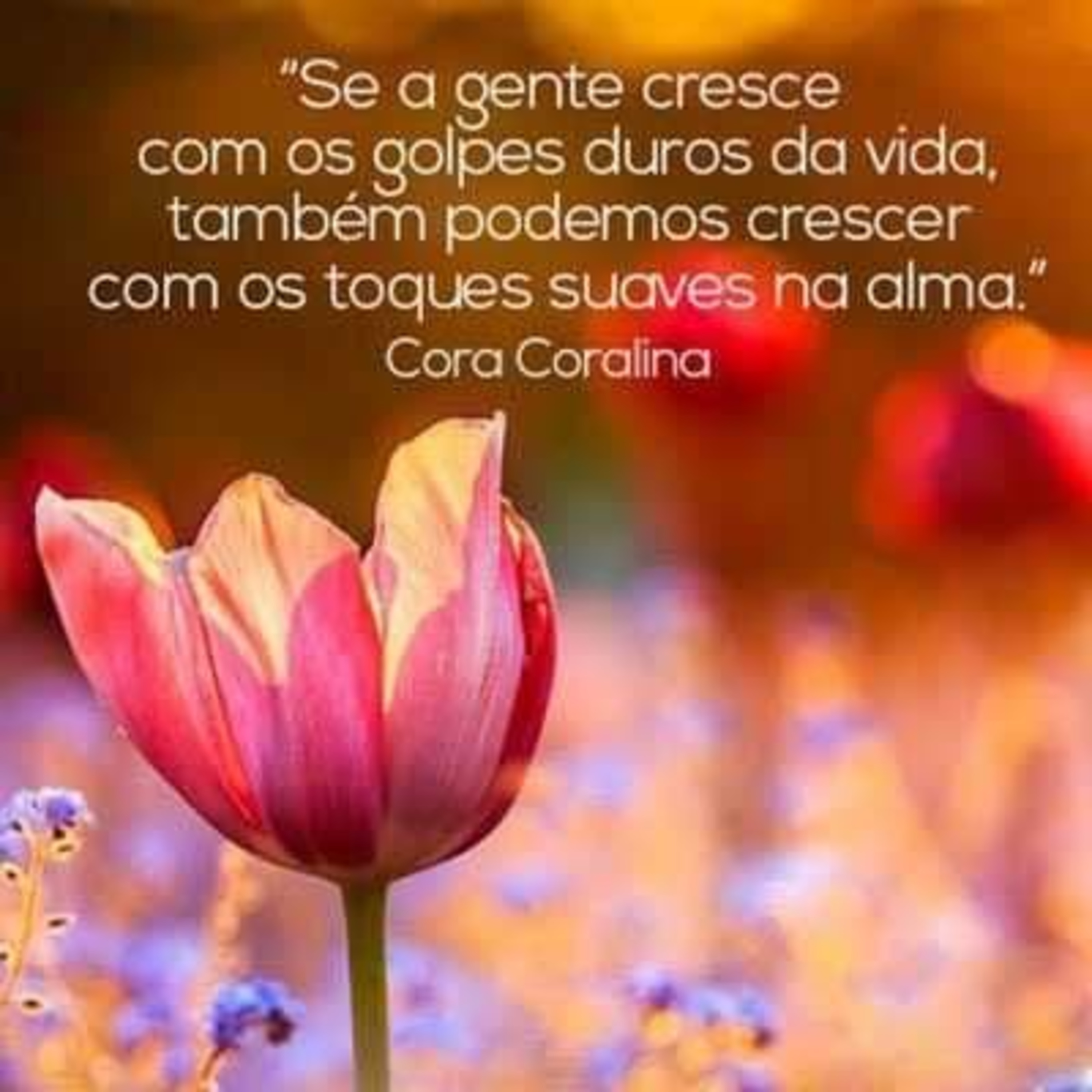 Amor em forma de oração