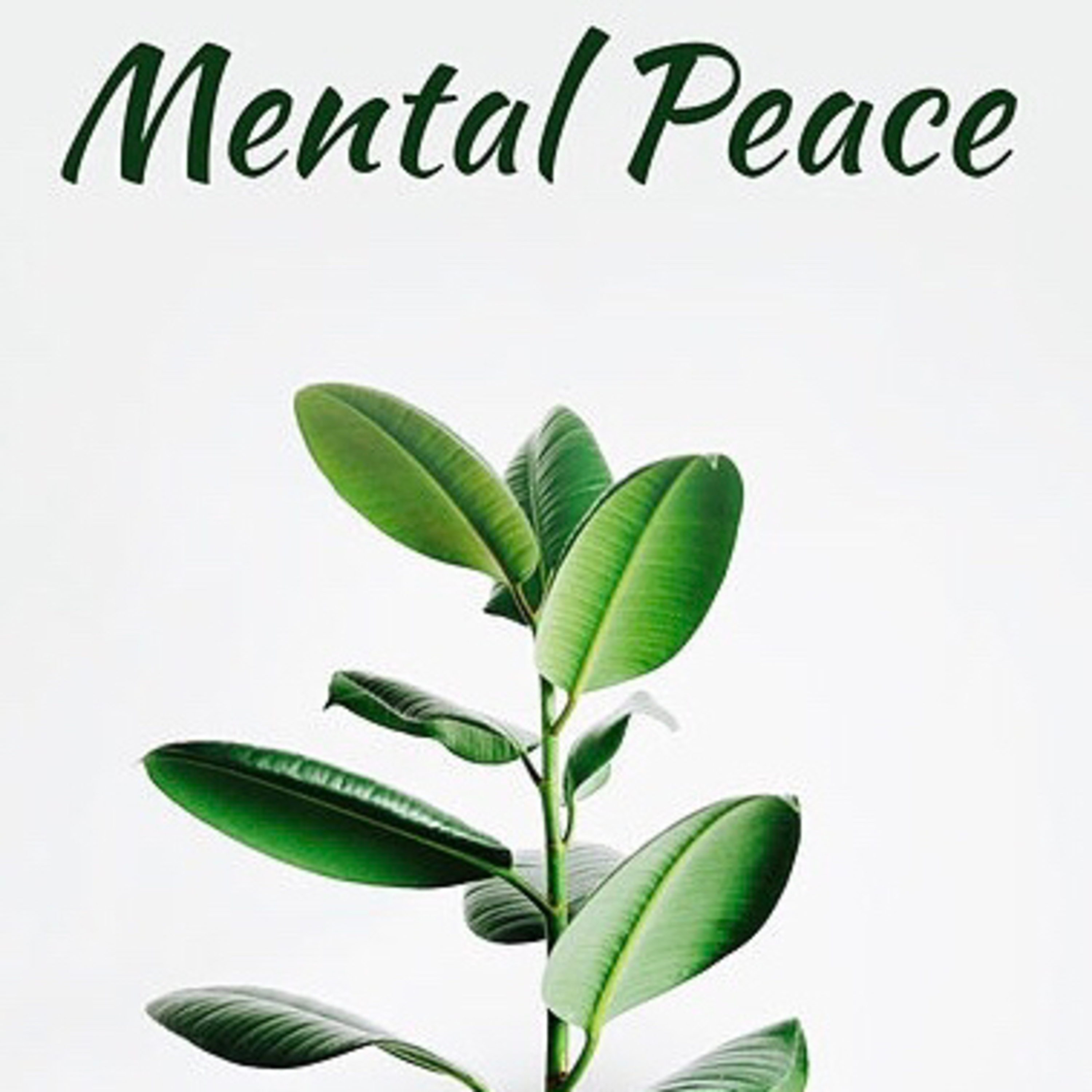 Your Mental Peace is Important