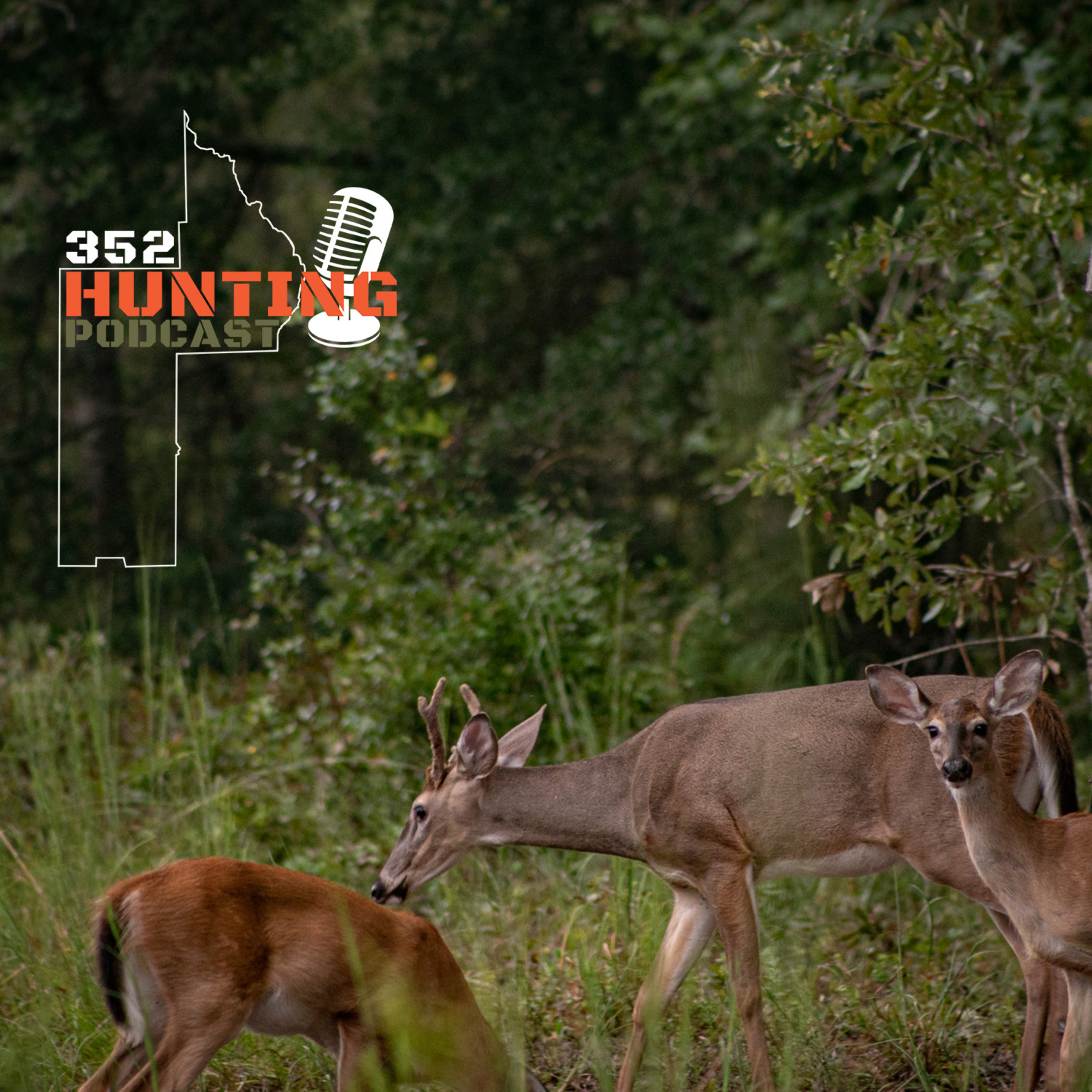The 352 Hunting Podcast