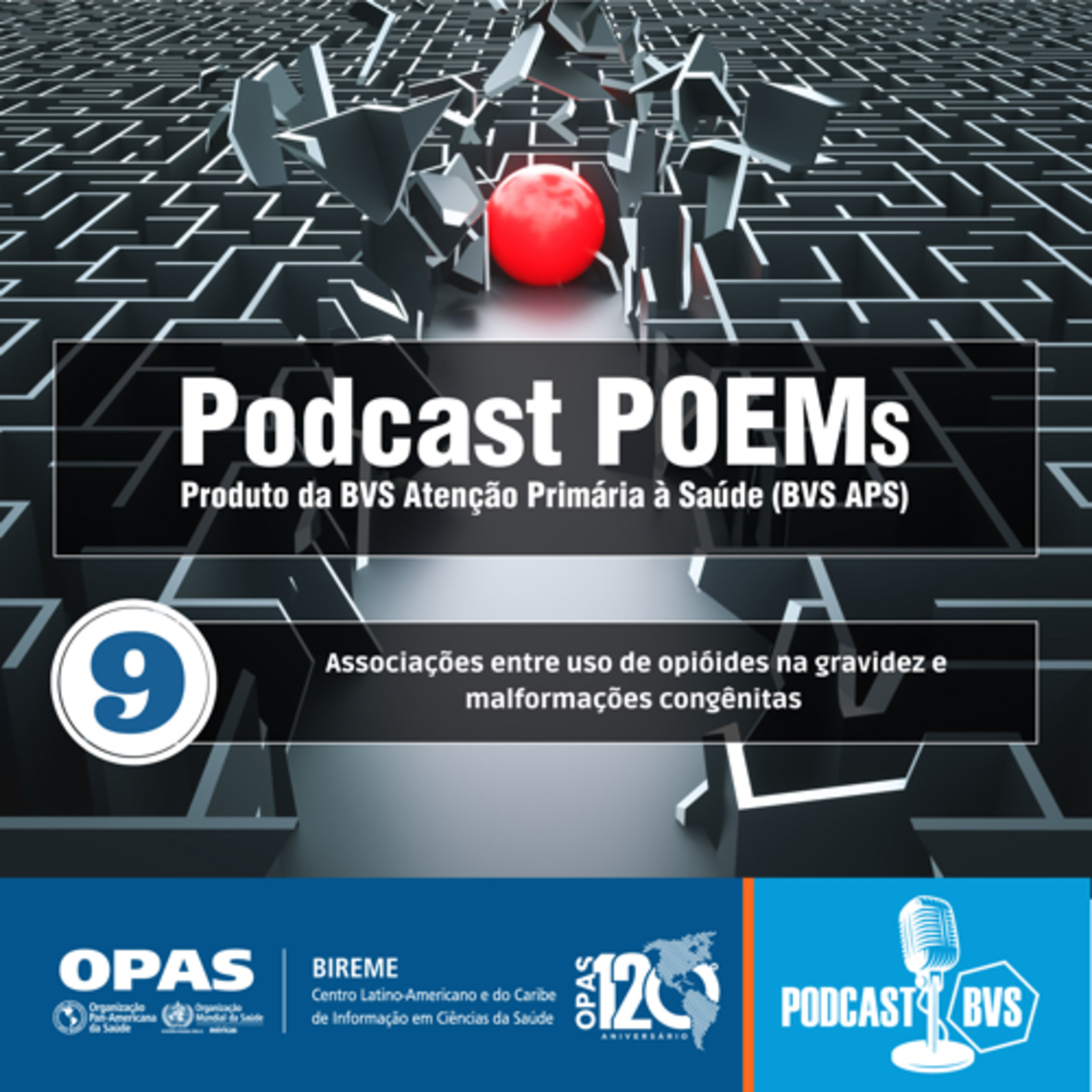 Podcast POEMS BVS APS