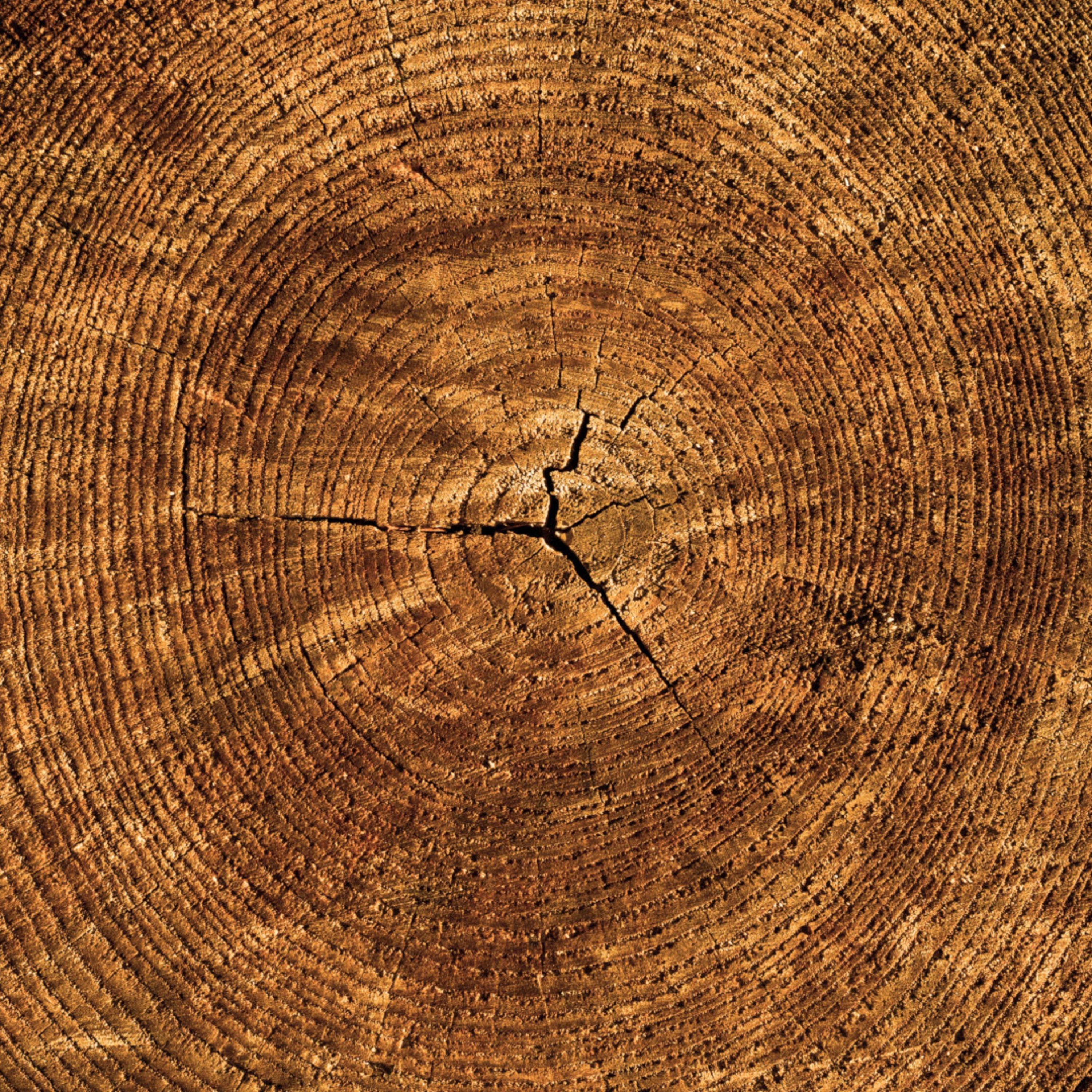 Naponta hétszer – 2023. 02. 12. episode artwork