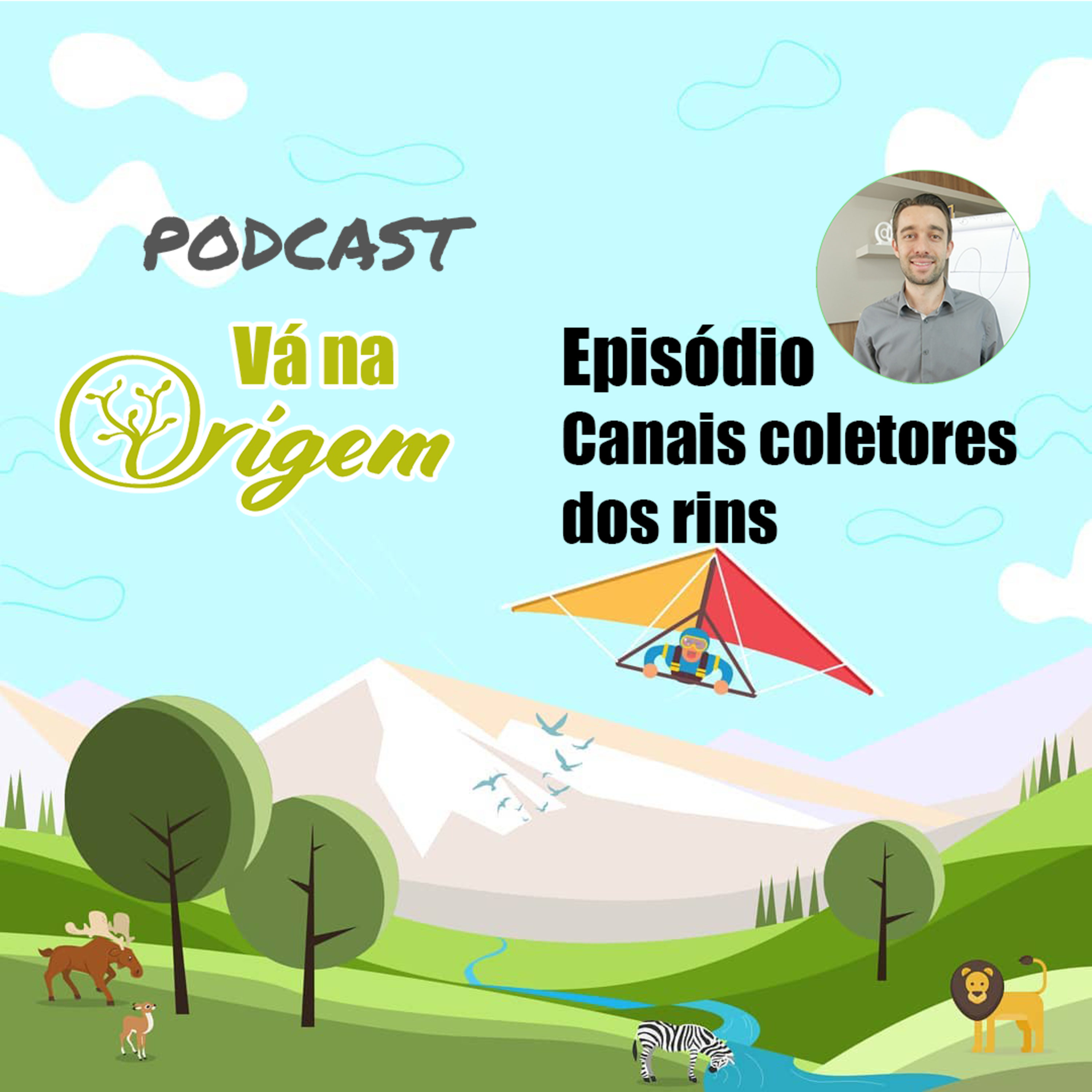 Vá na Origem