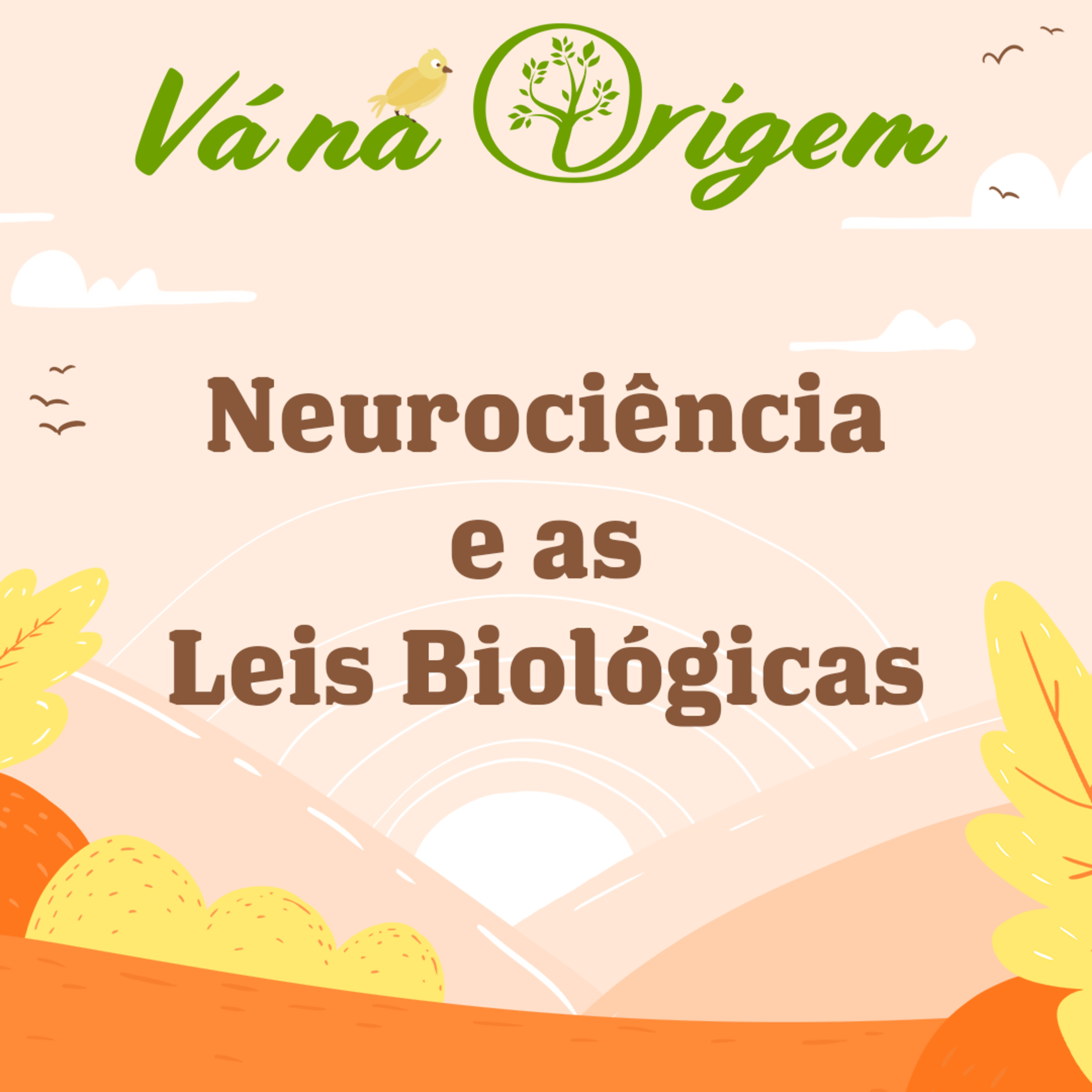 Vá na Origem