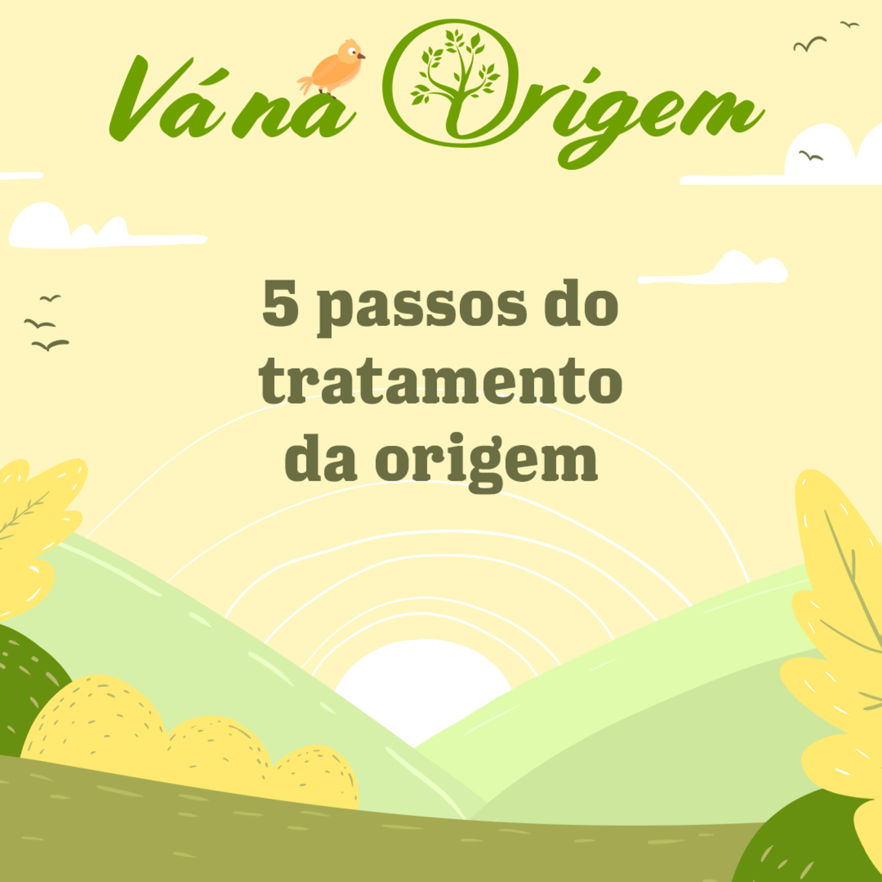 Vá na Origem