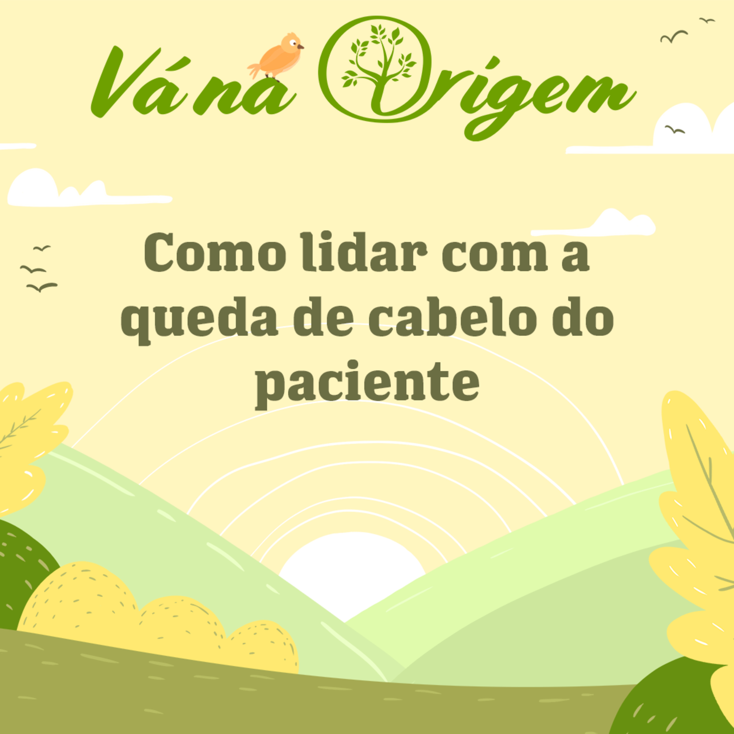 A origem da queda de cabelo | Ivan Bonaldo EP 38 episode artwork