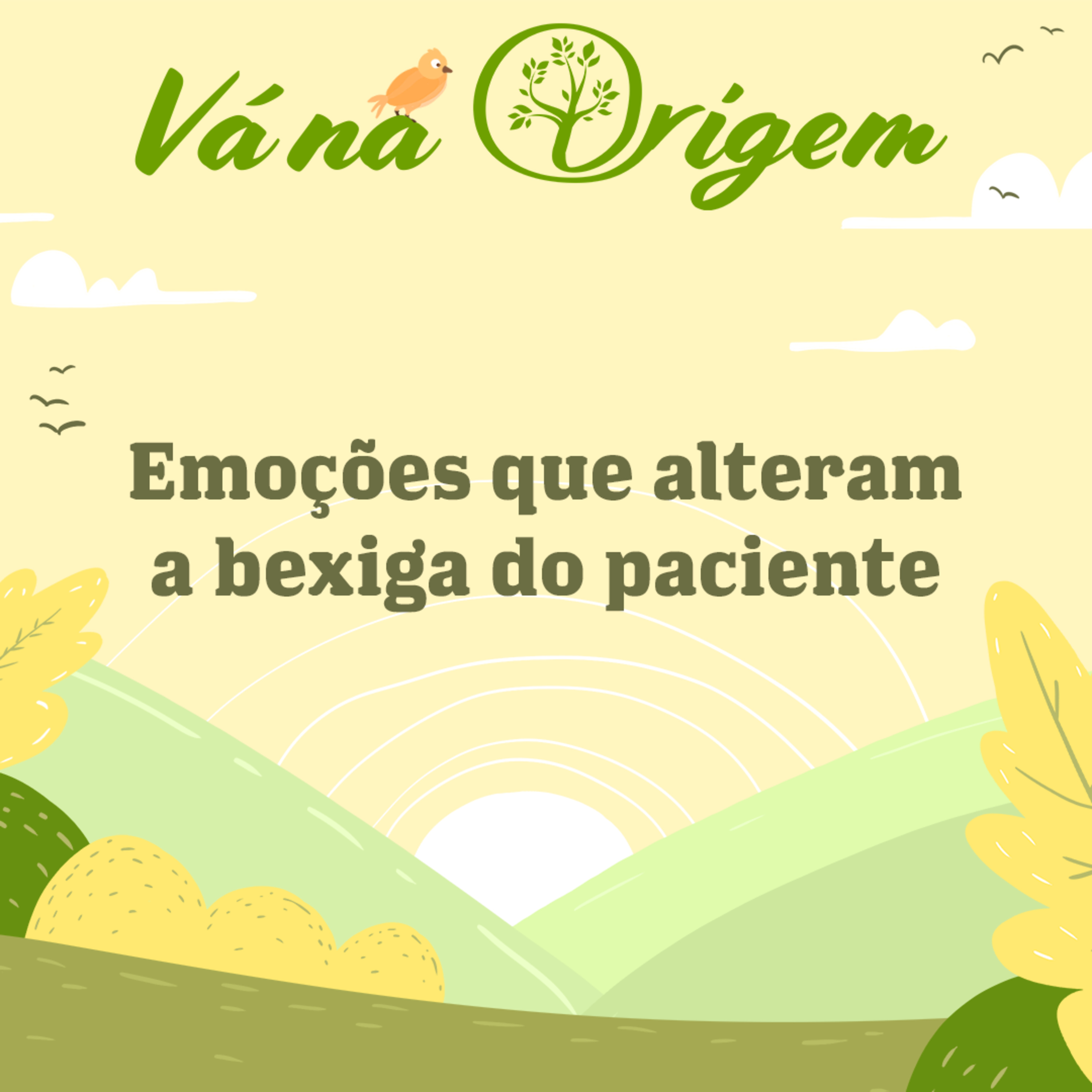 Vá na Origem