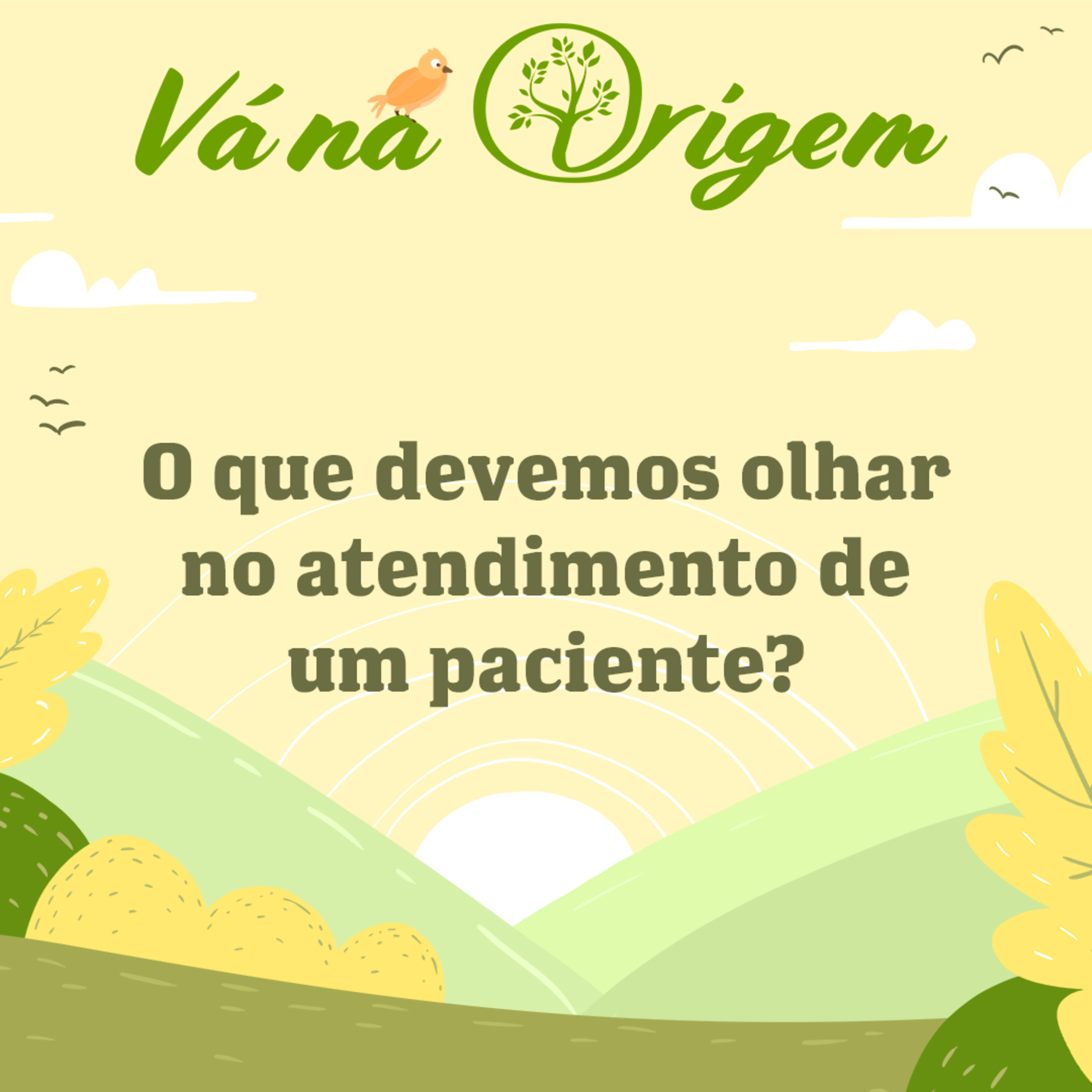 Vá na Origem