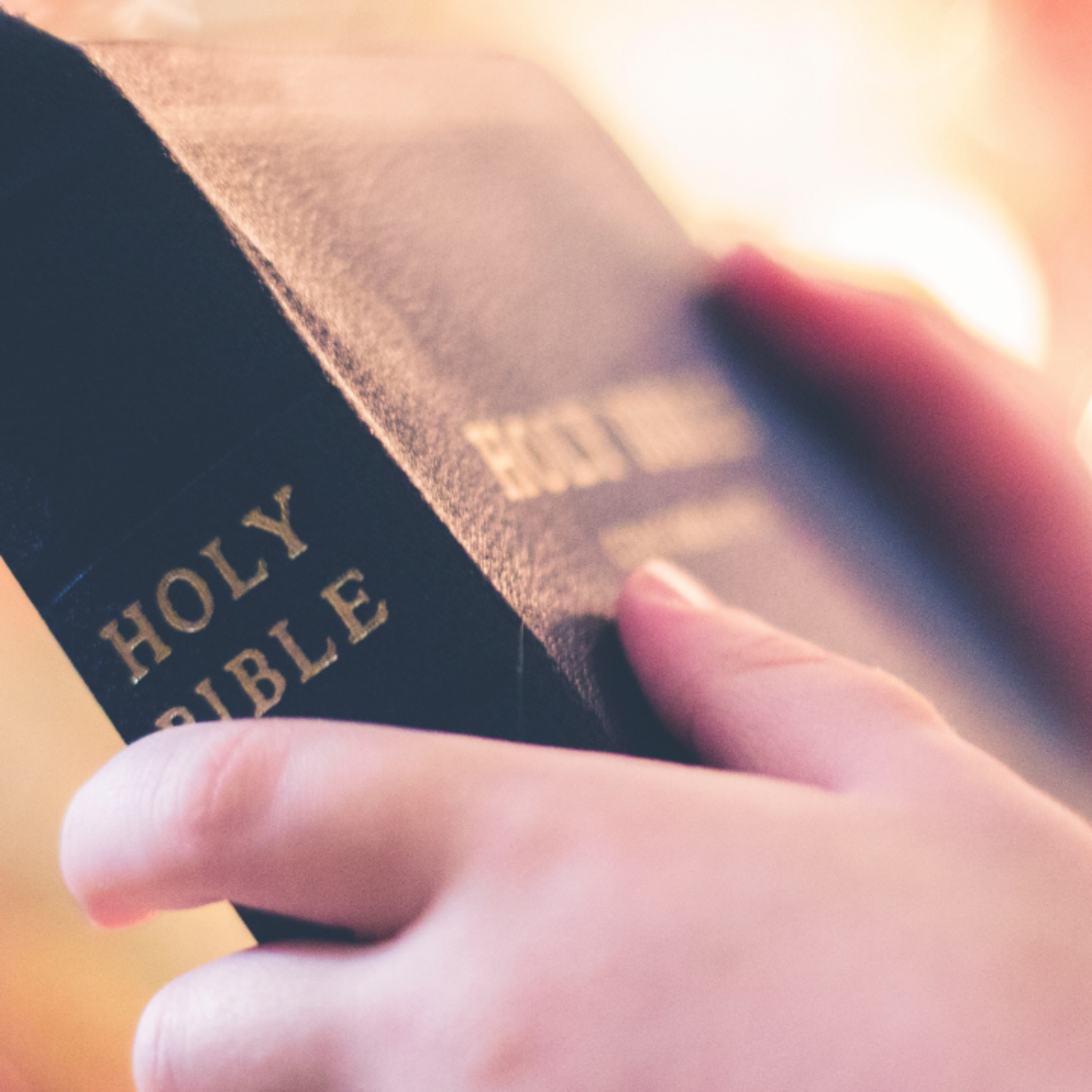 The Family Altar Audio Devotional – Day 335