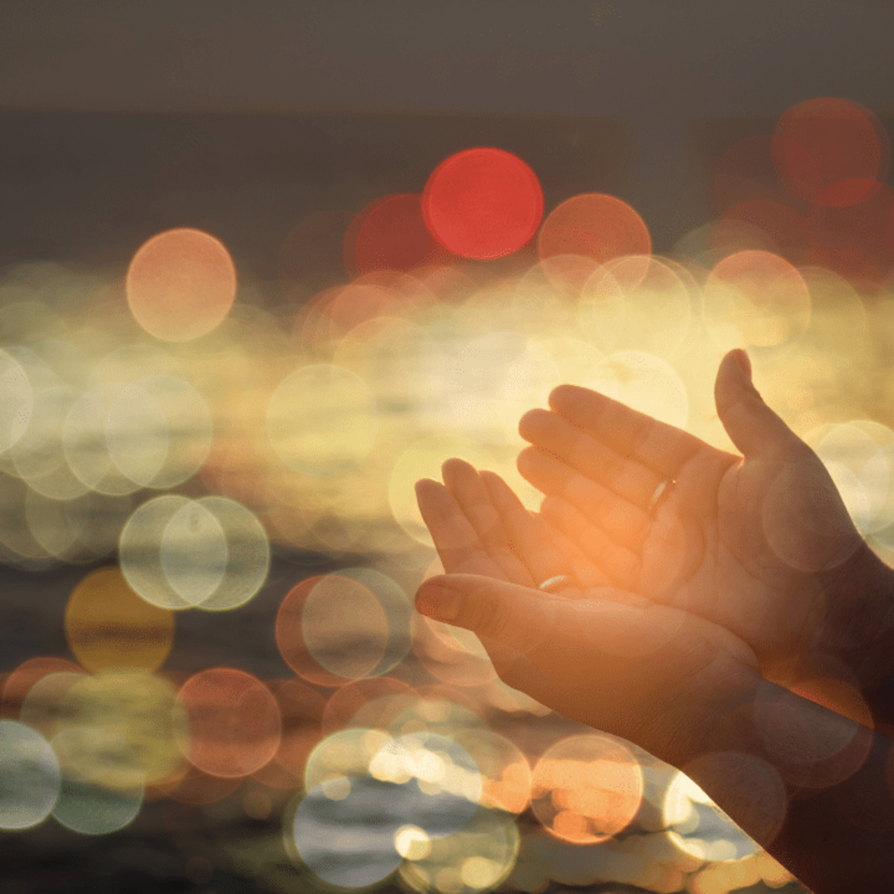 The Family Altar Audio Devotional - Day 342