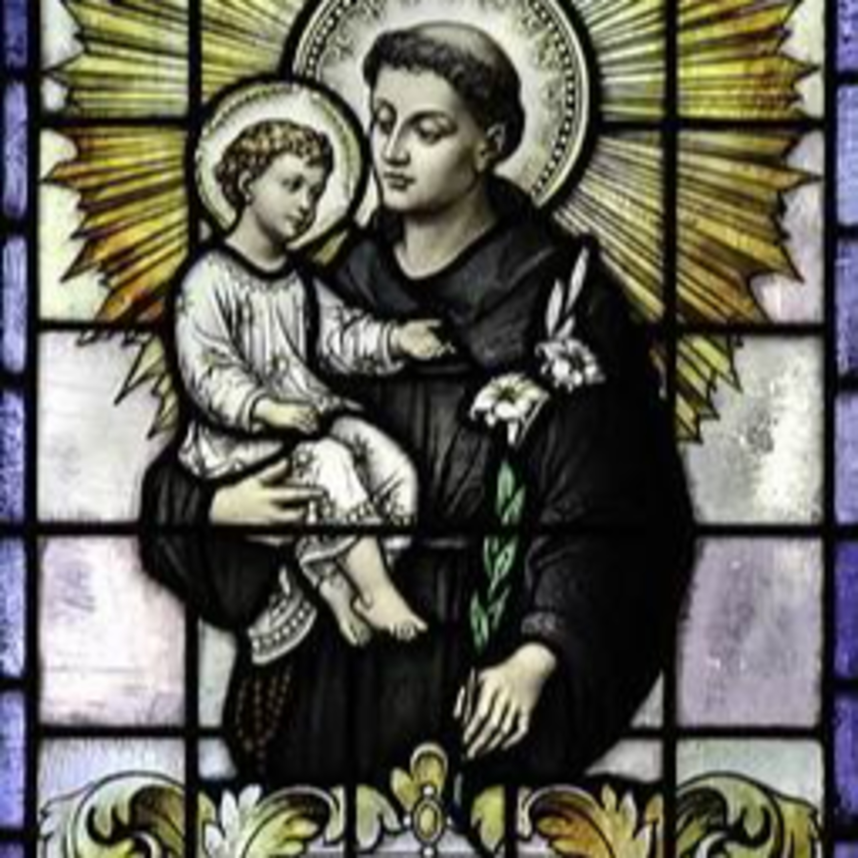 Fundación Milagrosa de La Luz, Inc.
