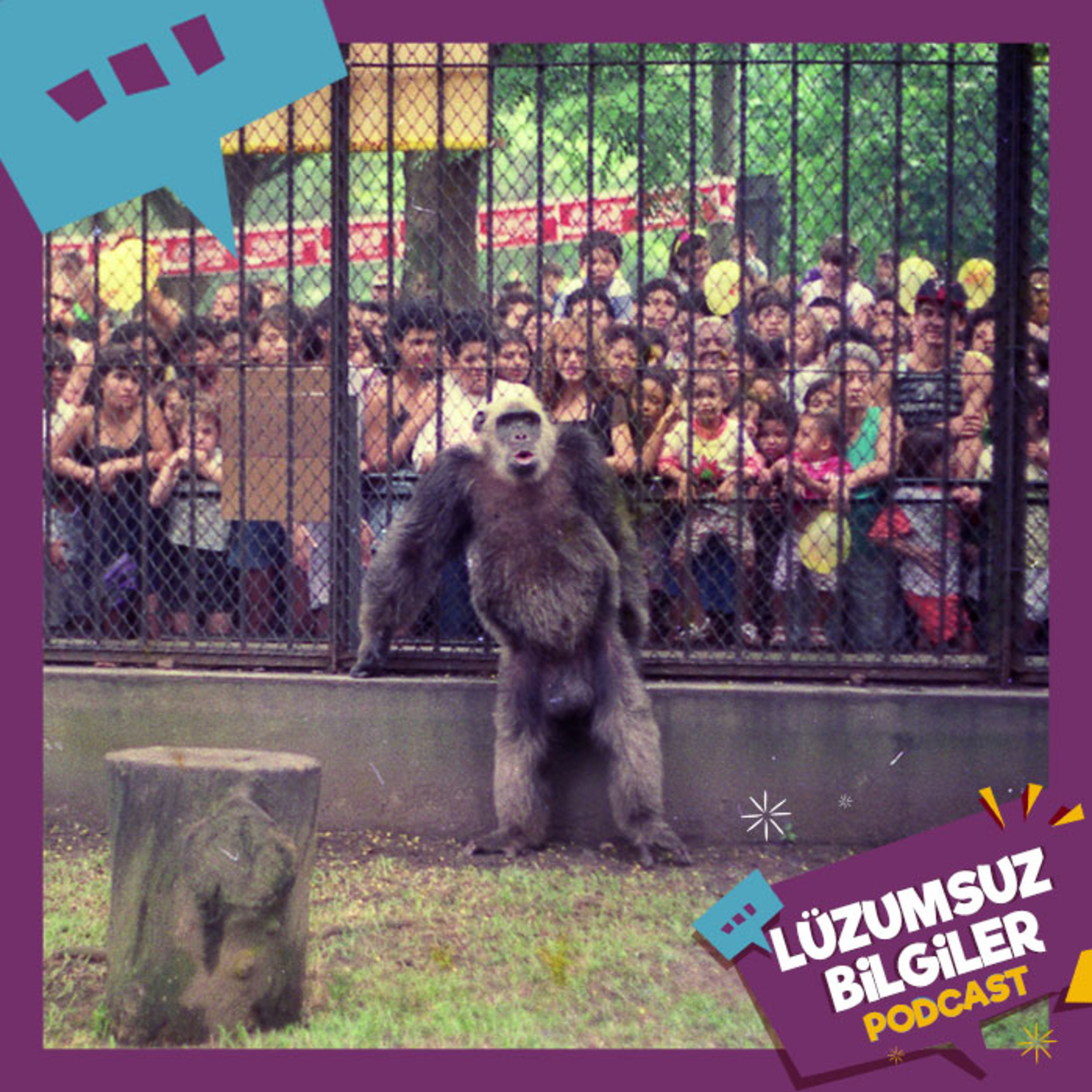 Lüzumsuz Bilgiler ~ İlginç Haberler