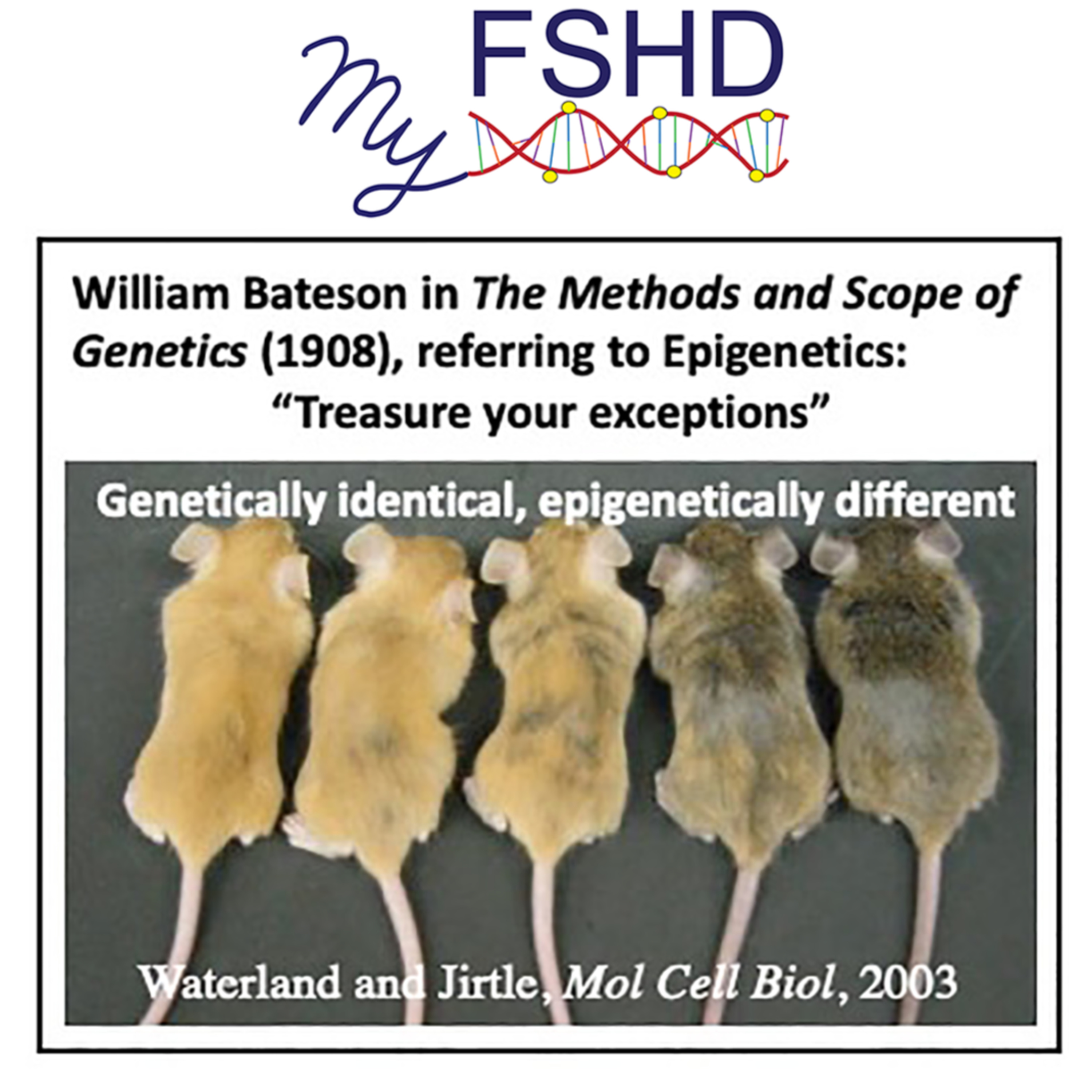 Epigenetics and FSHD
