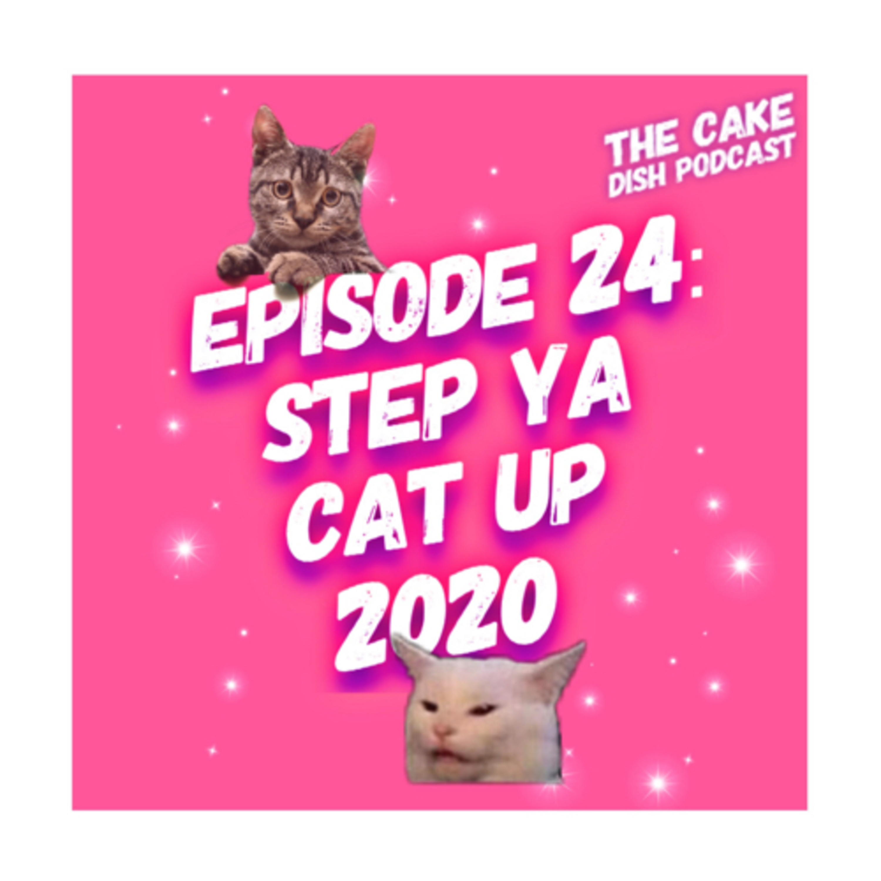 Episode 24 - Step Ya Cat Up 2020 episode artwork