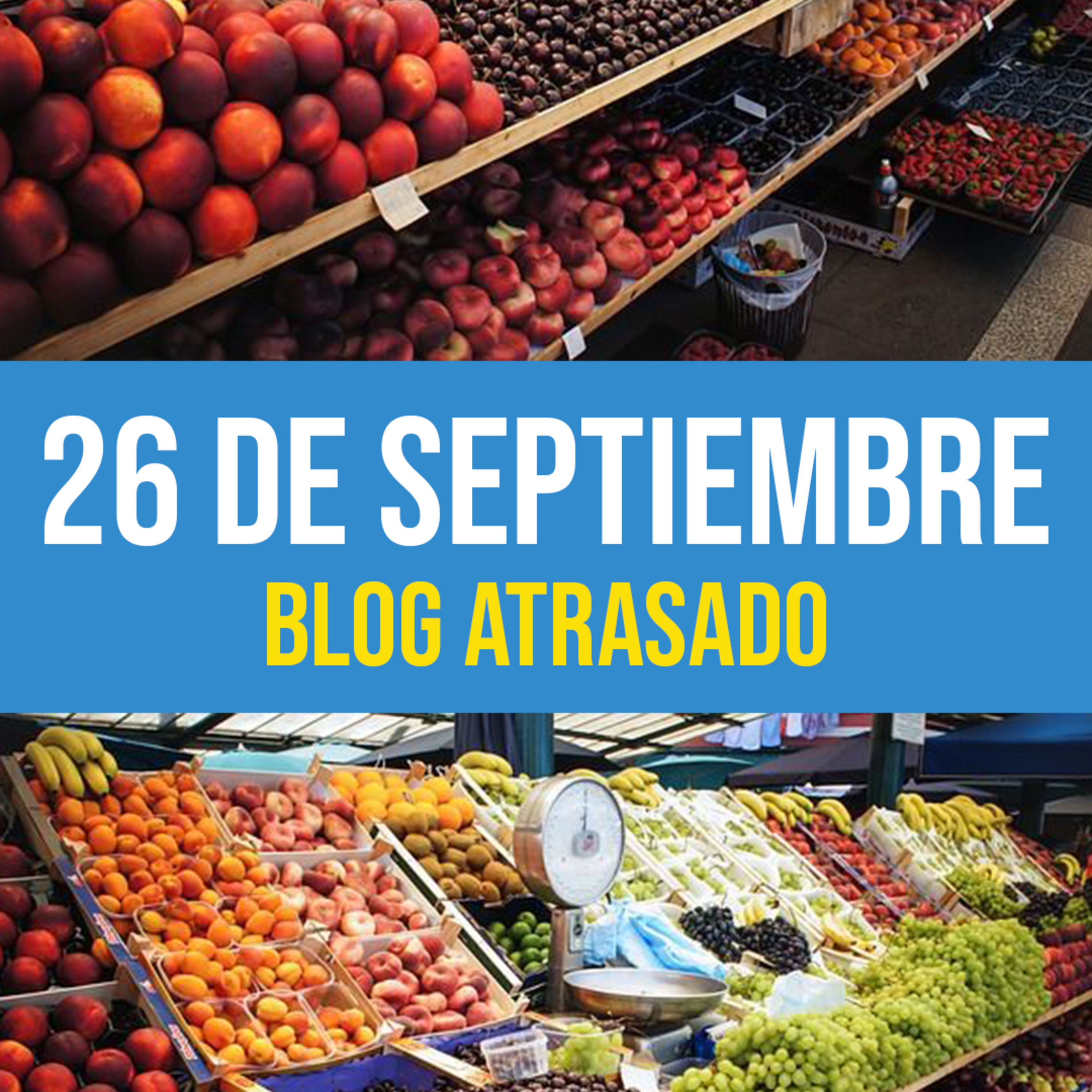 Fego Blog