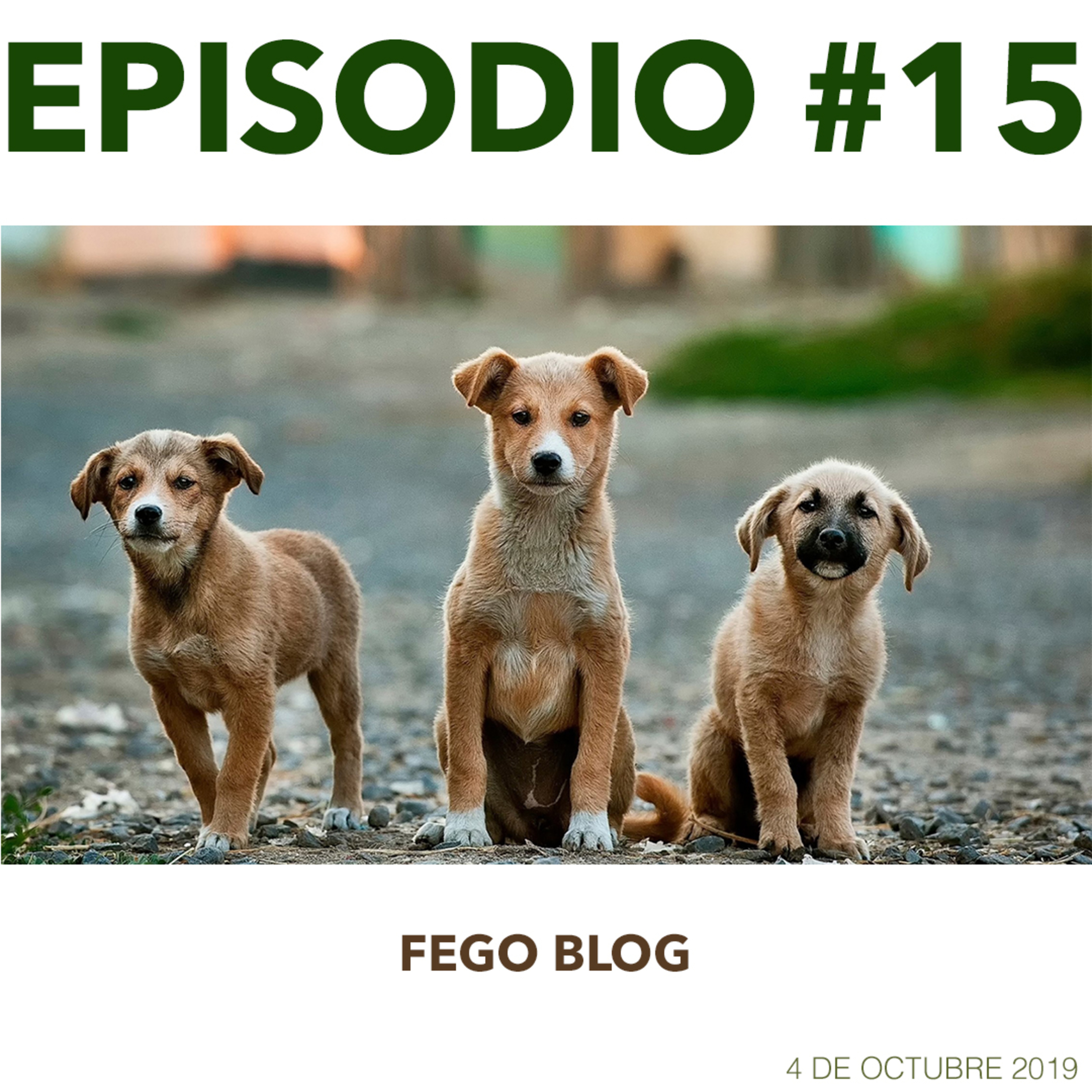 Fego Blog