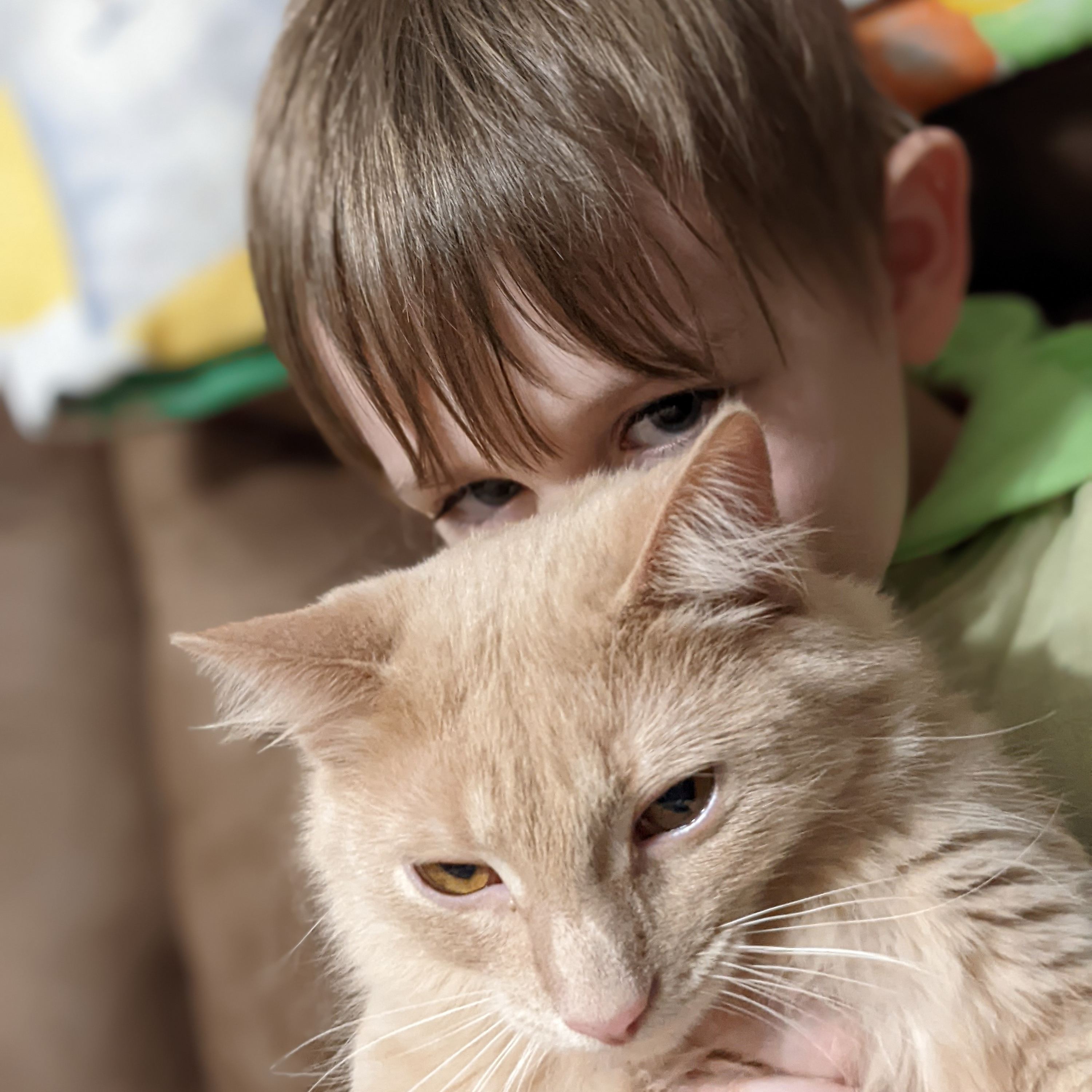 Oliver\'s Travels (Nighttime Treks Through a Child\'s mind)