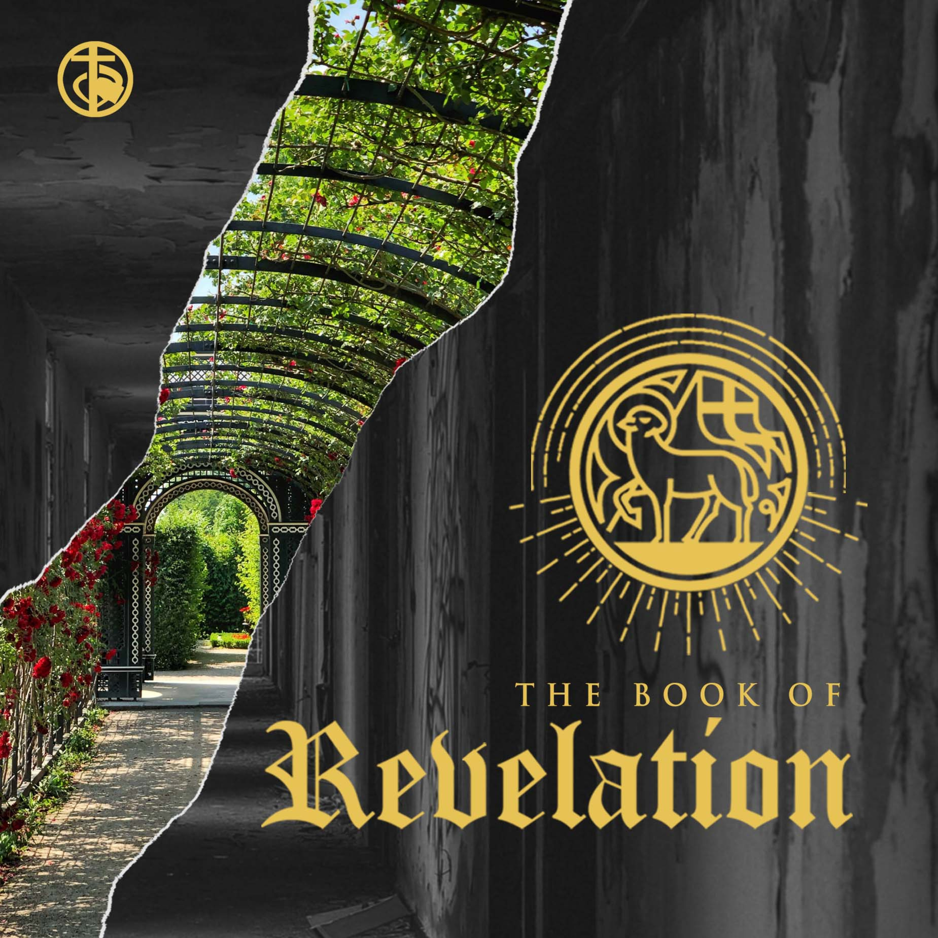 The Tribulation (Rev. 6:9-17) episode artwork