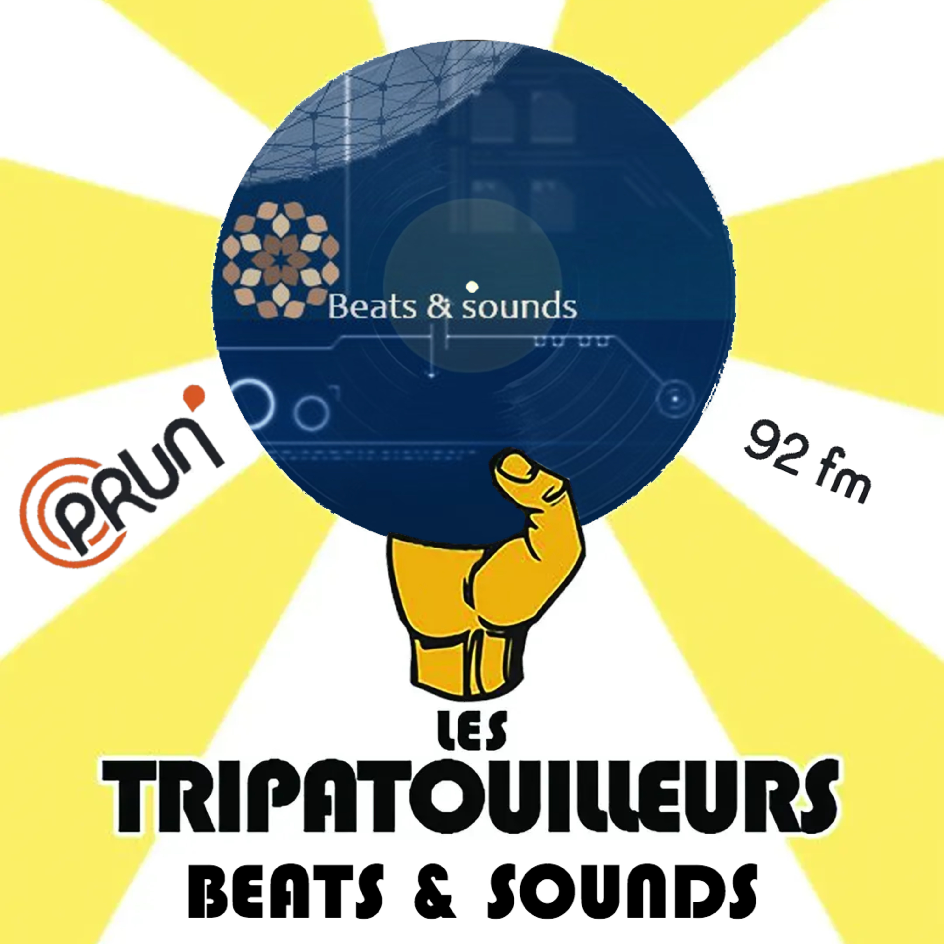 Les Tripatouilleurs