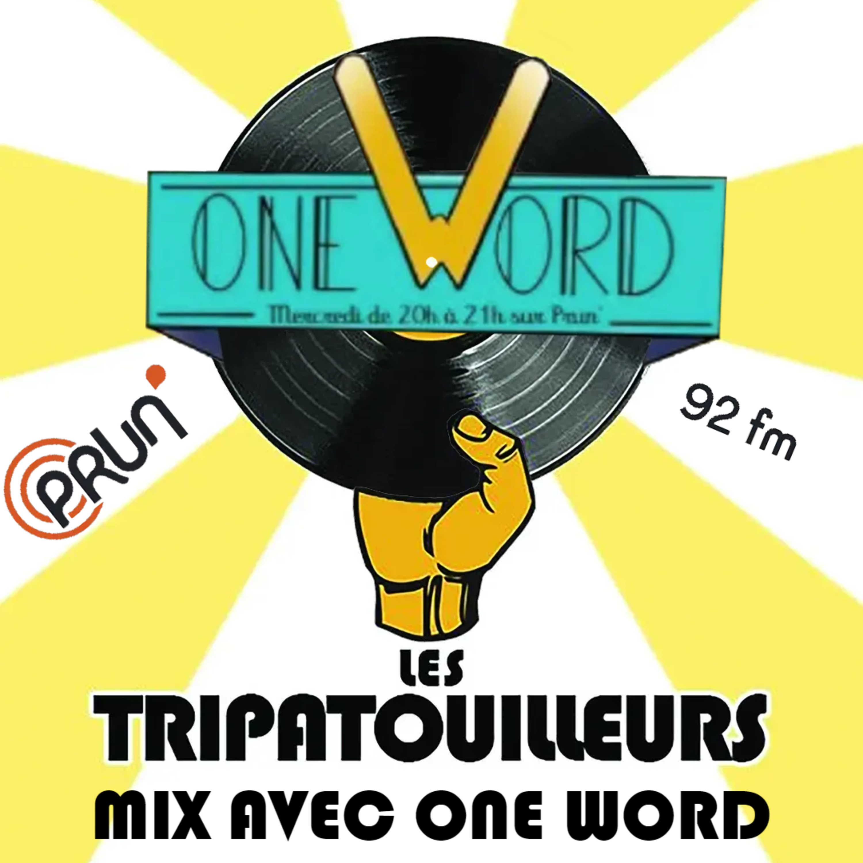 Les Tripatouilleurs