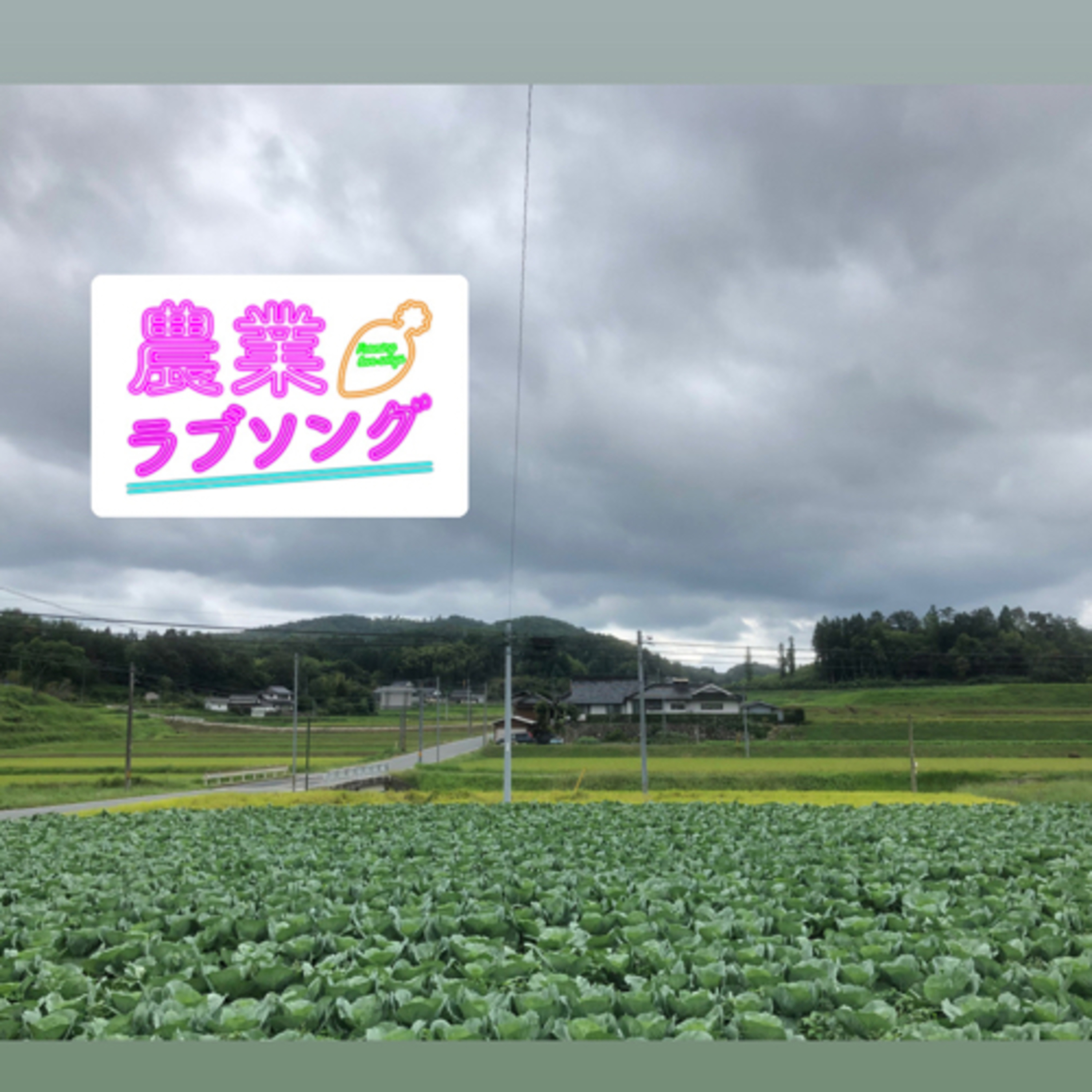 Ep.172 農水大臣とコシヒカリとグリーン車。出張帰りの雑談回。 episode artwork