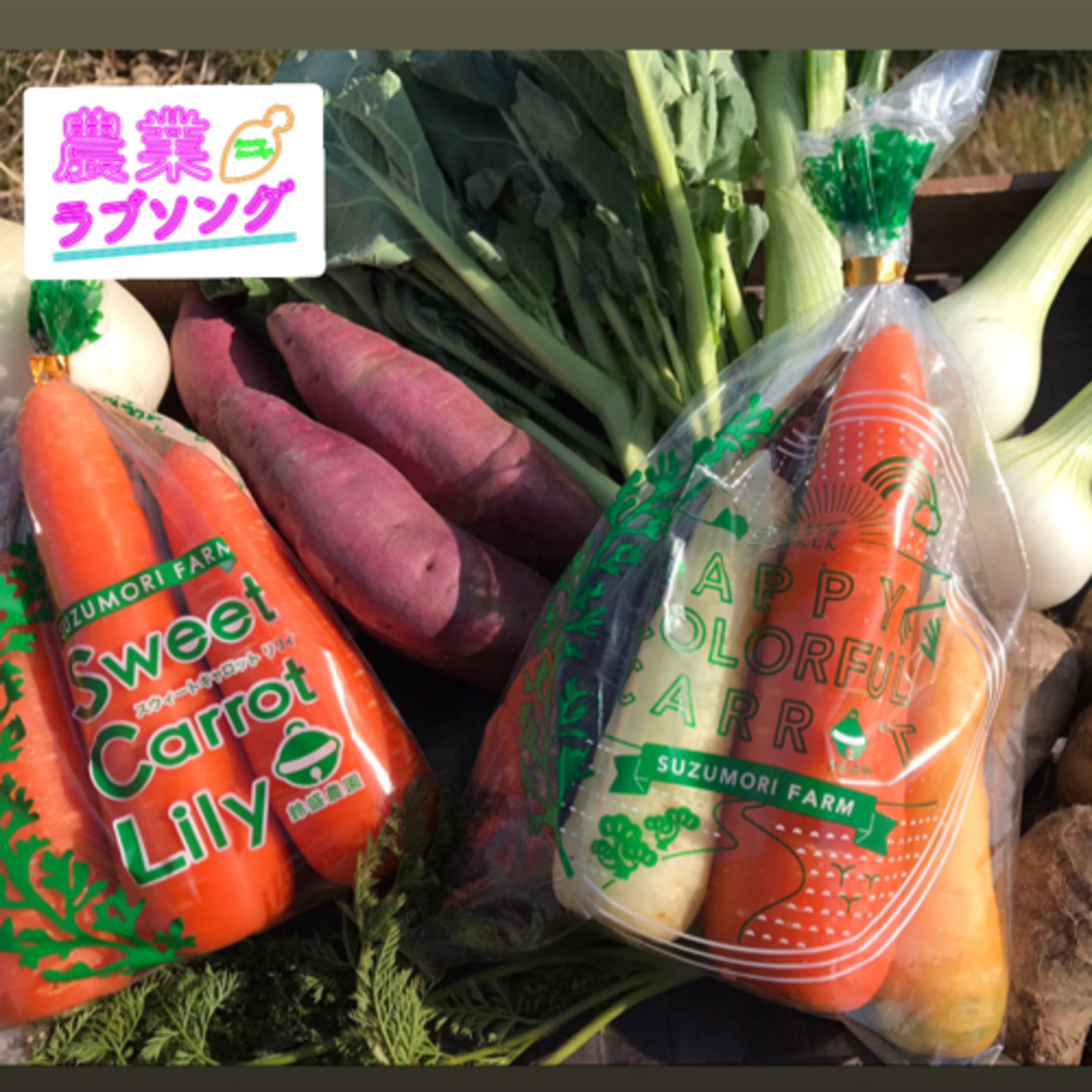 Ep.173 農家の家庭菜園、漁師の釣り堀。仕事か趣味か？！ episode artwork