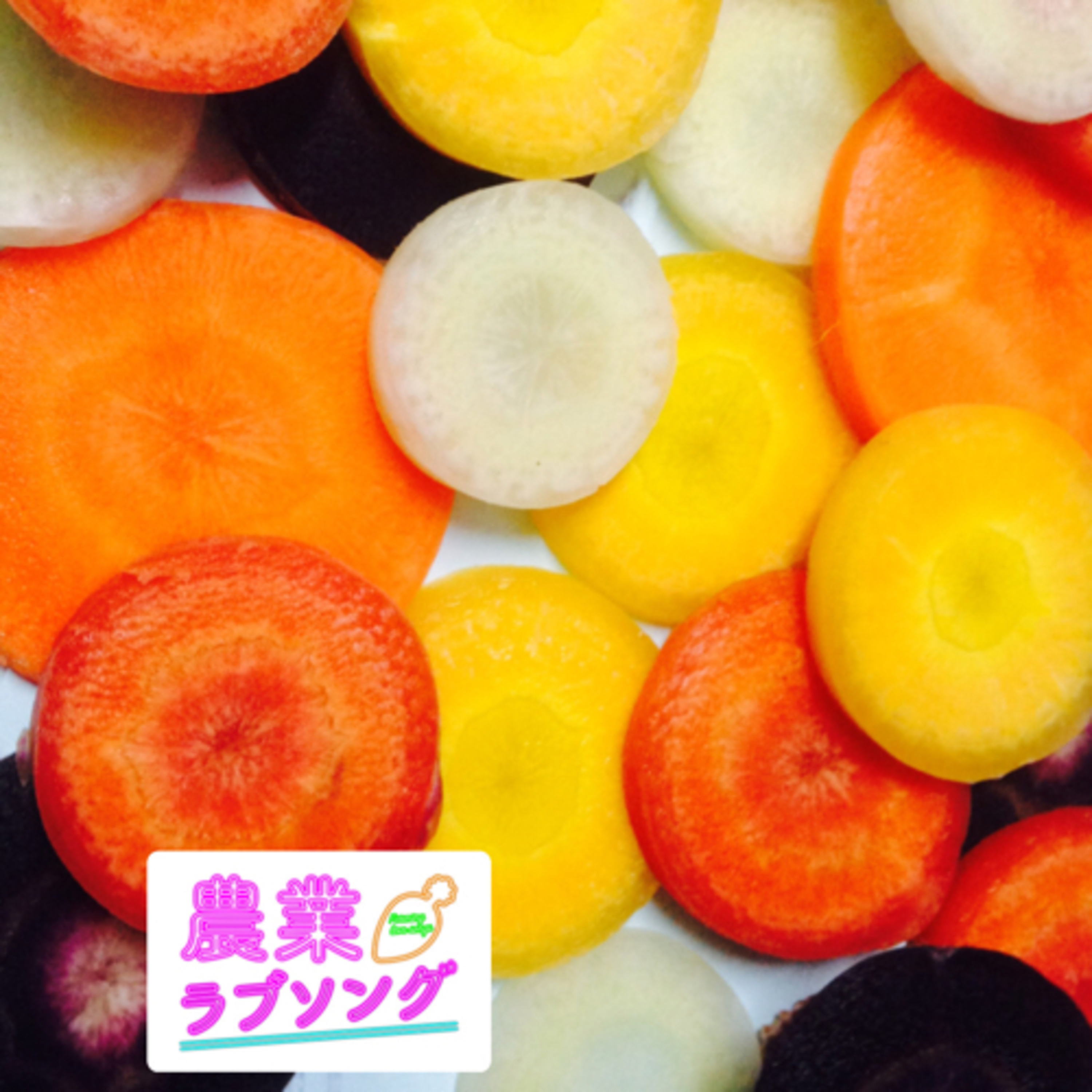 Ep.178 野菜の価格高騰、ピンチとするかチャンスにするか？稼ぐ農家、泣く農家。 episode artwork