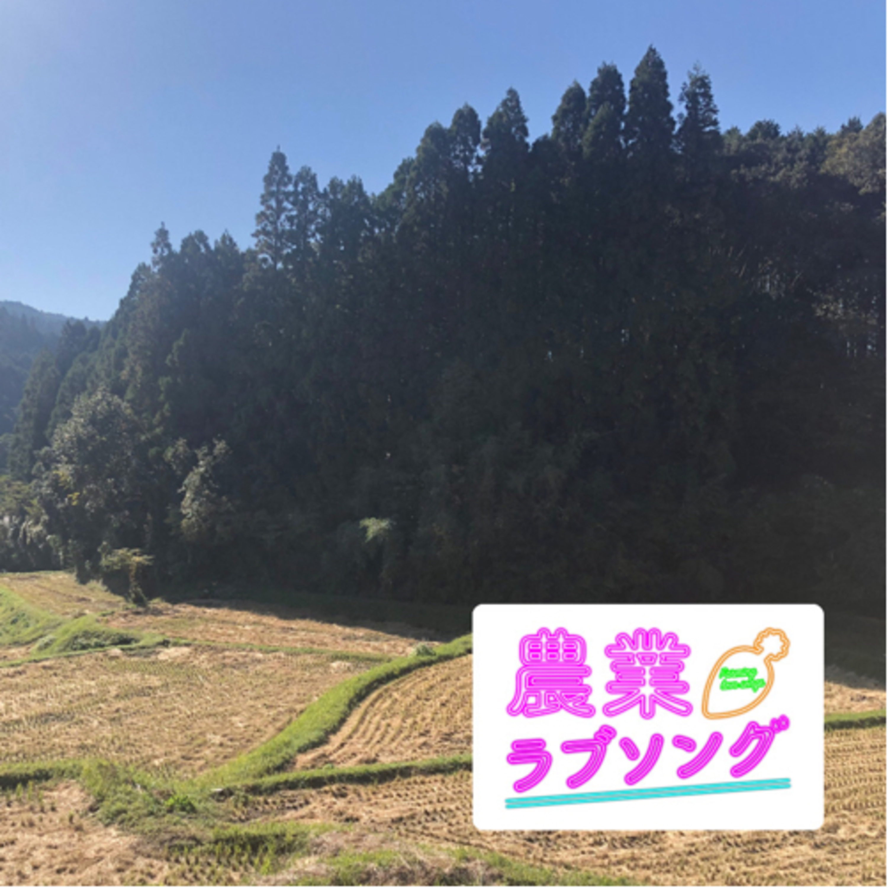 Ep.180 GAP取得気運の高まり再び！地球や人に優しい農業が求められる時代。 episode artwork
