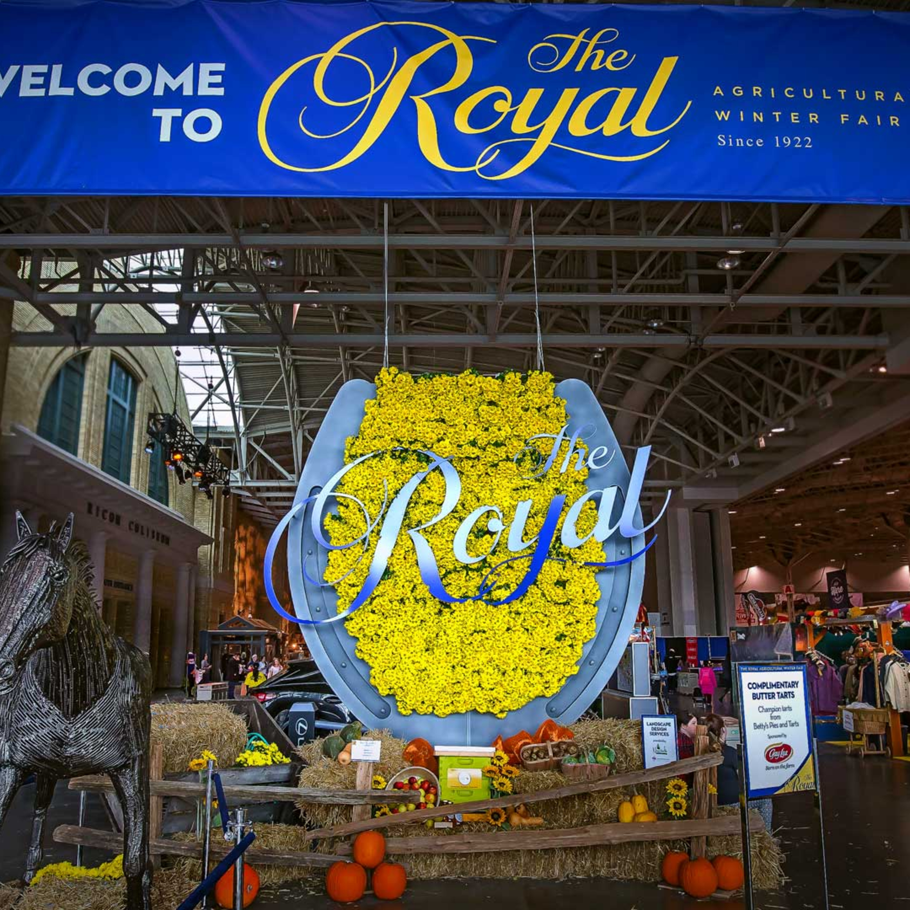 Reflections on the royal agriculture winter fair 2019 episode artwork